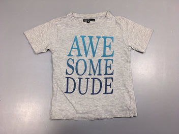 T-shirt m.c gris Awesome