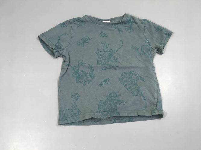 T-shirt m.c kaki grisé grenouille, moins cher chez Petit Kiwi