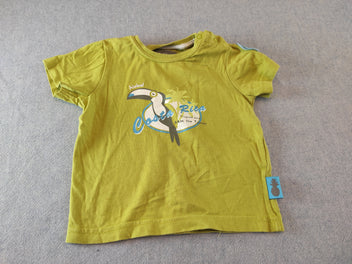 T-shirt m.c vert anis toucan 