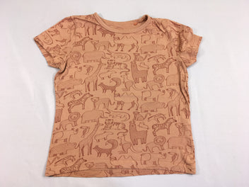 T-shirt m.c orange animaux