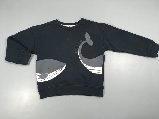 Sweat bleu marine baleines, moins cher chez Petit Kiwi