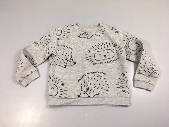 Sweat gris hérisson, moins cher chez Petit Kiwi