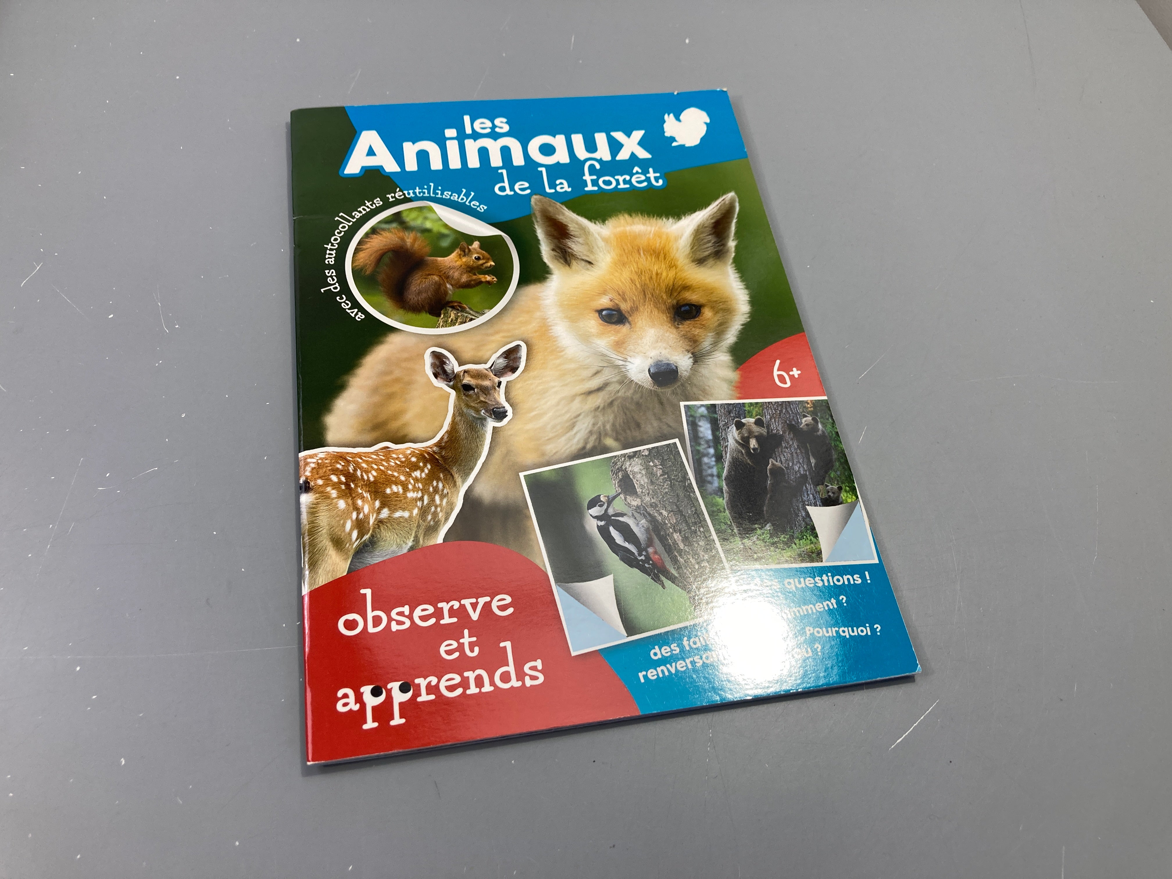 Les animaux de la forêt avec des autocollants réutilisables, +6a