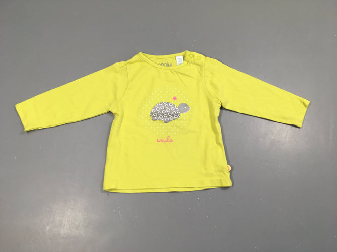 T-shirt m.l anis tortue, moins cher chez Petit Kiwi