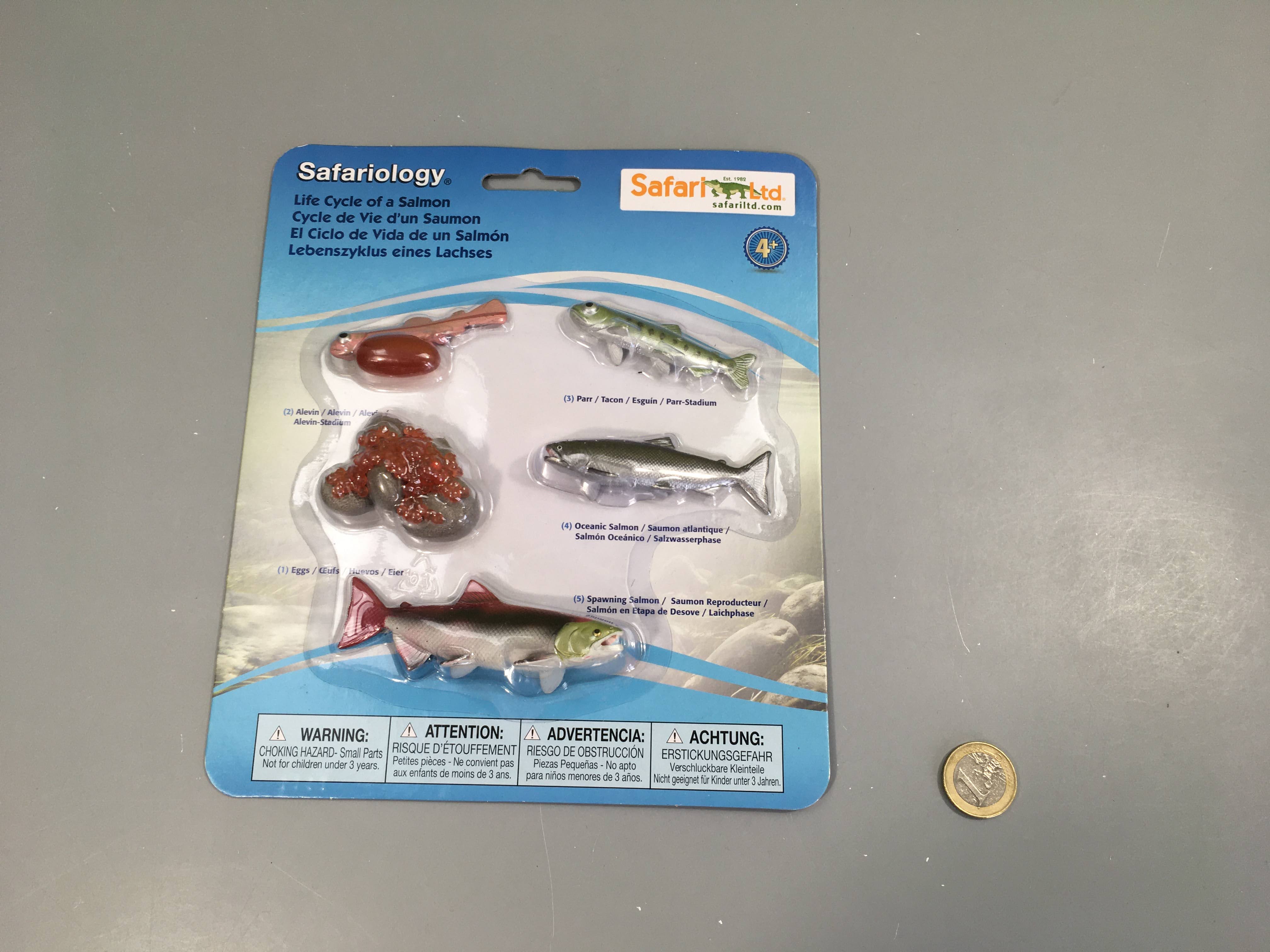 NEUF Cycle de vie d'un saumon