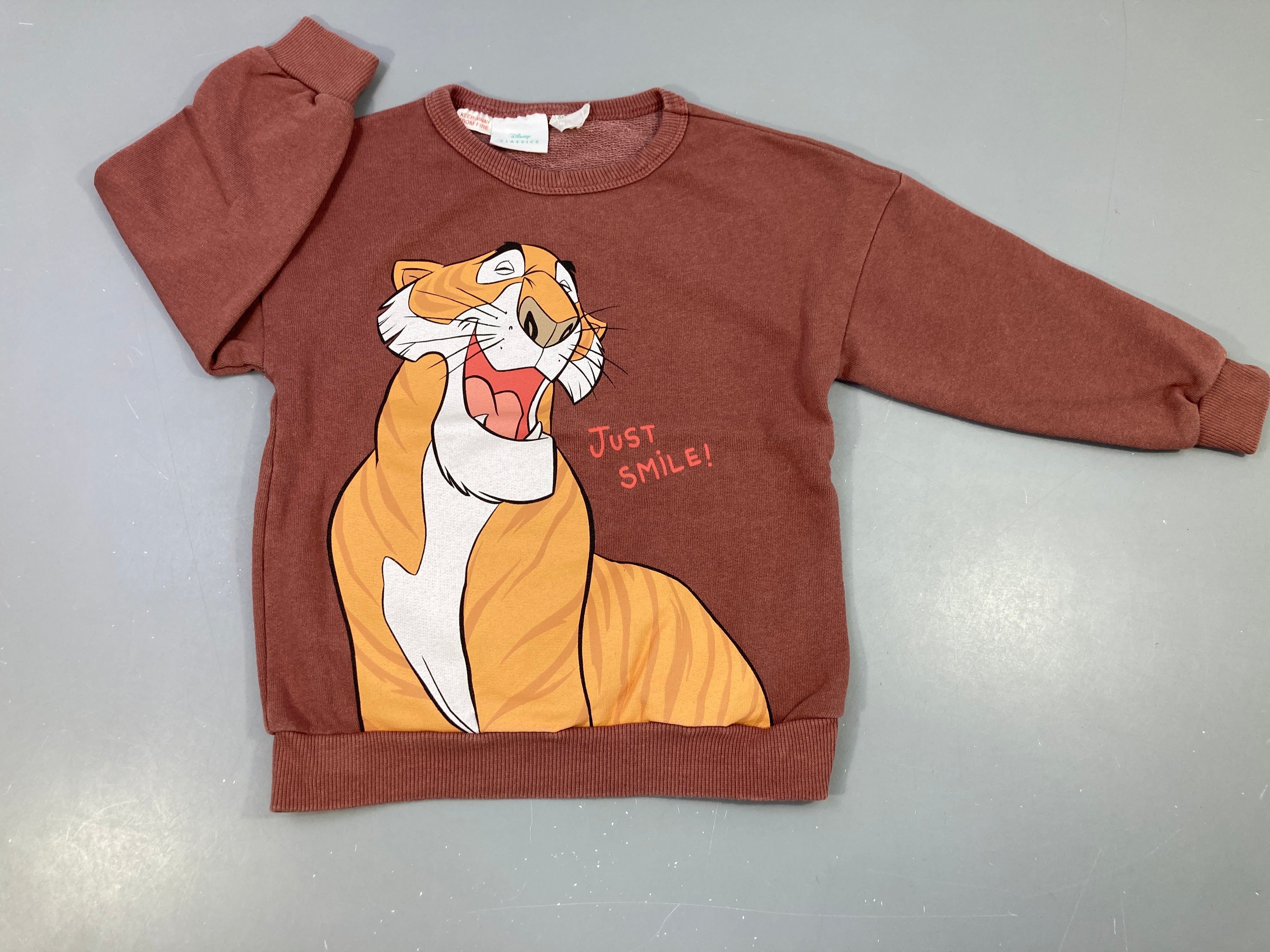 Sweat terracotta Lion