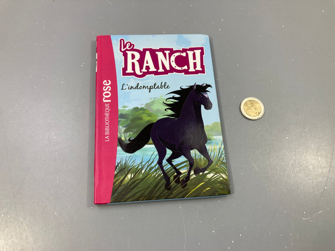 L'indomptable .  Mes amis les chevaux. La bibliothèque rose, moins cher chez Petit Kiwi