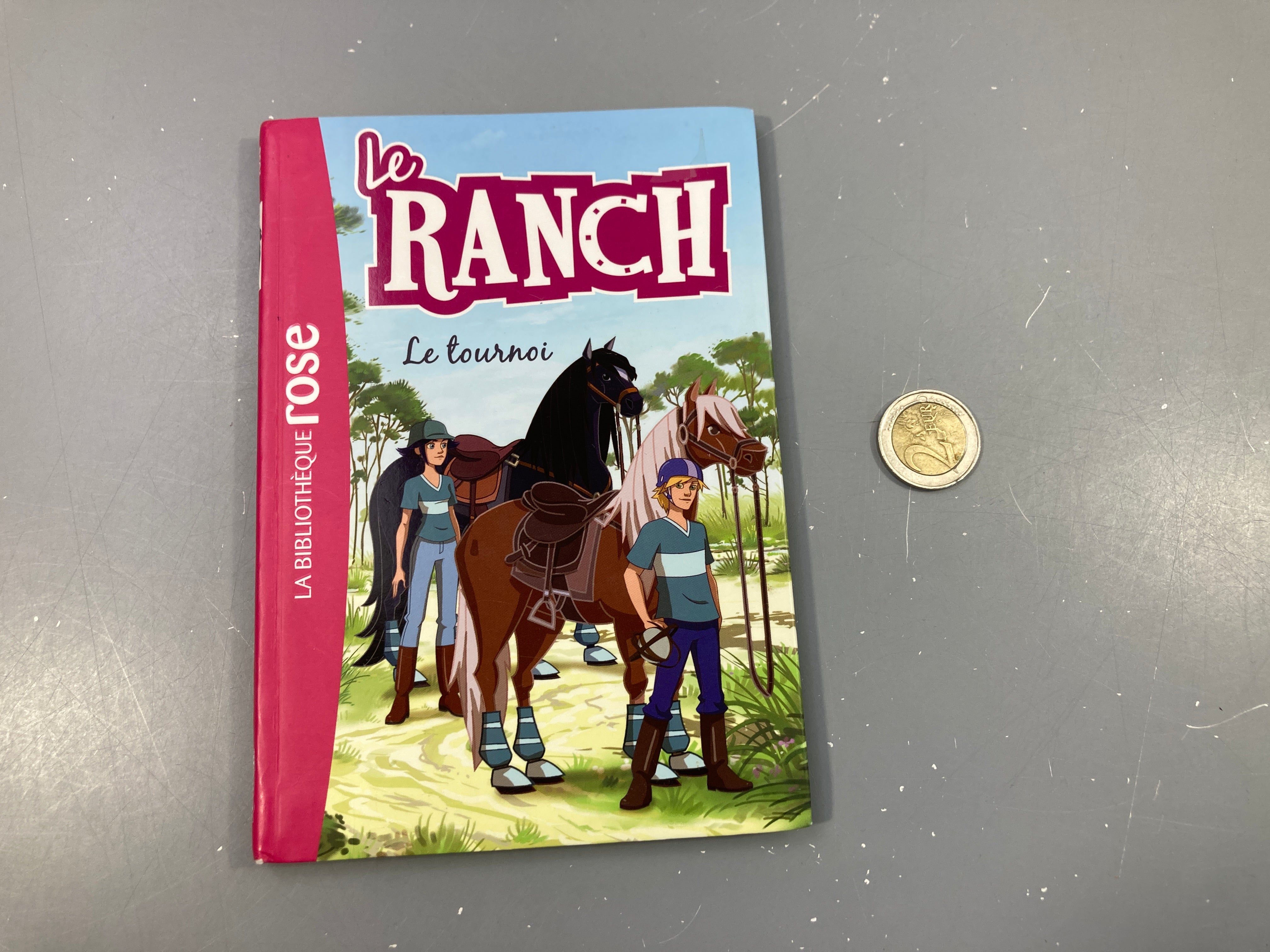Le tournoi .  Mes amis les chevaux. La bibliothèque rose