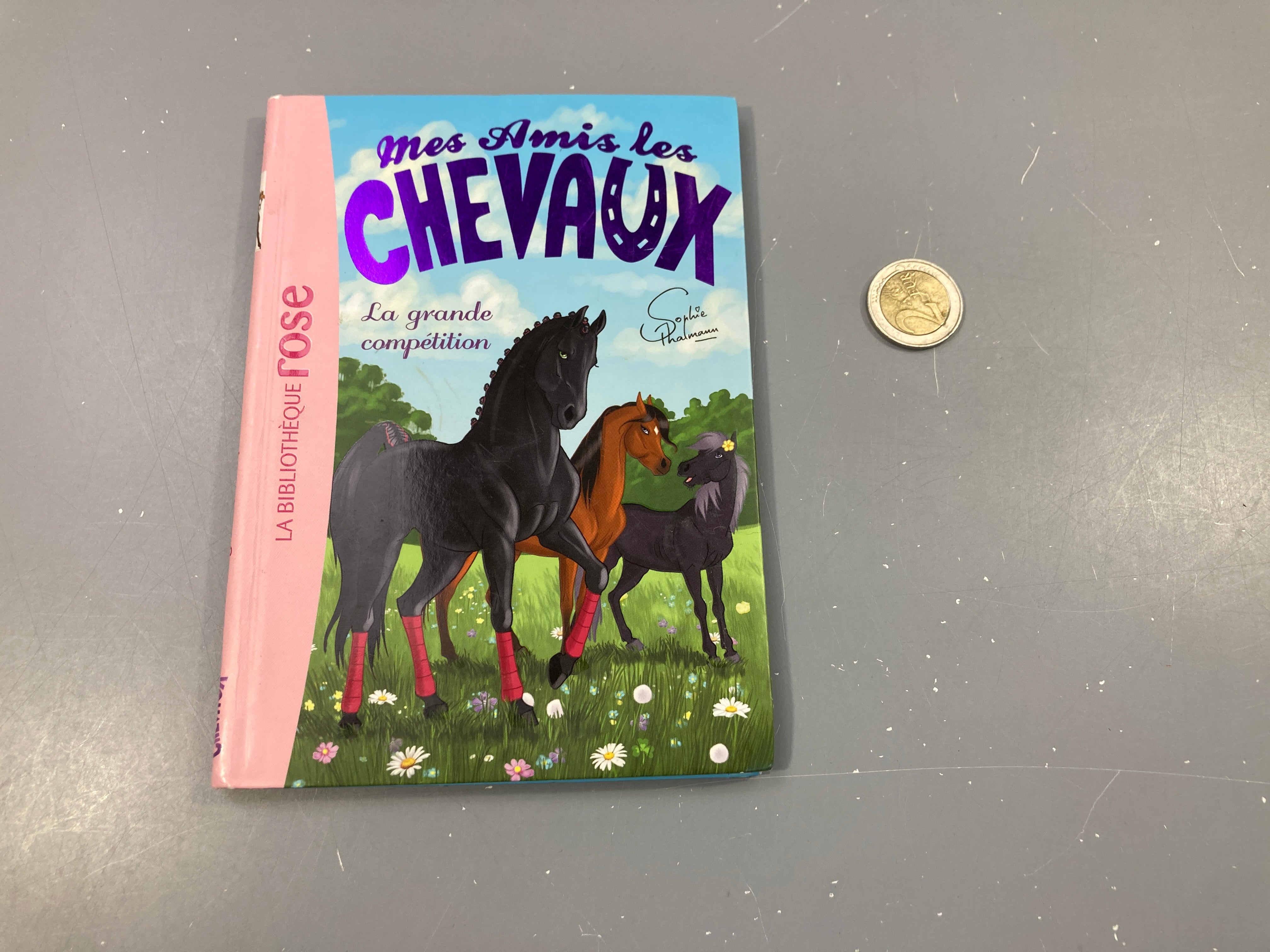 La grande compétition .  Mes amis les chevaux. La bibliothèque rose
