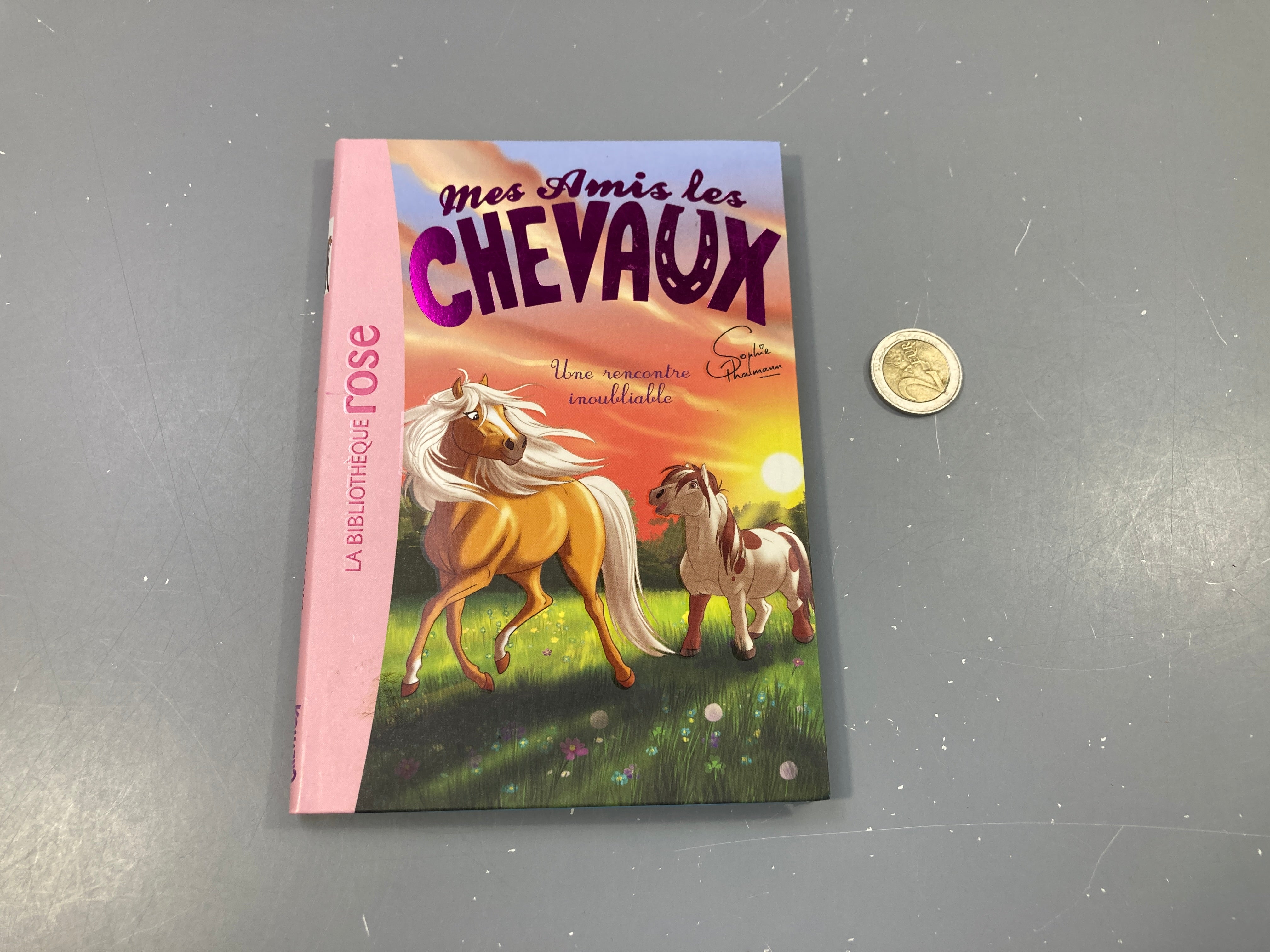 Une rencontre inoubliable.  Mes amis les chevaux. La bibliothèque rose