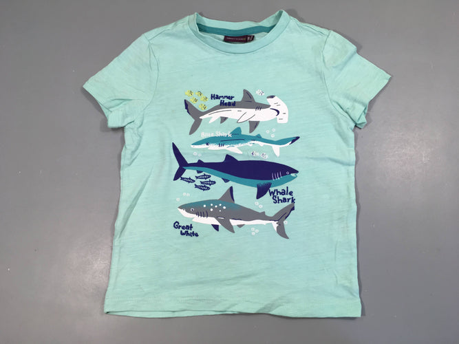 T-shirt m.c bleu flammé requins, moins cher chez Petit Kiwi