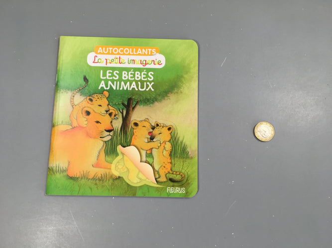 Les bébés animaux, moins cher chez Petit Kiwi