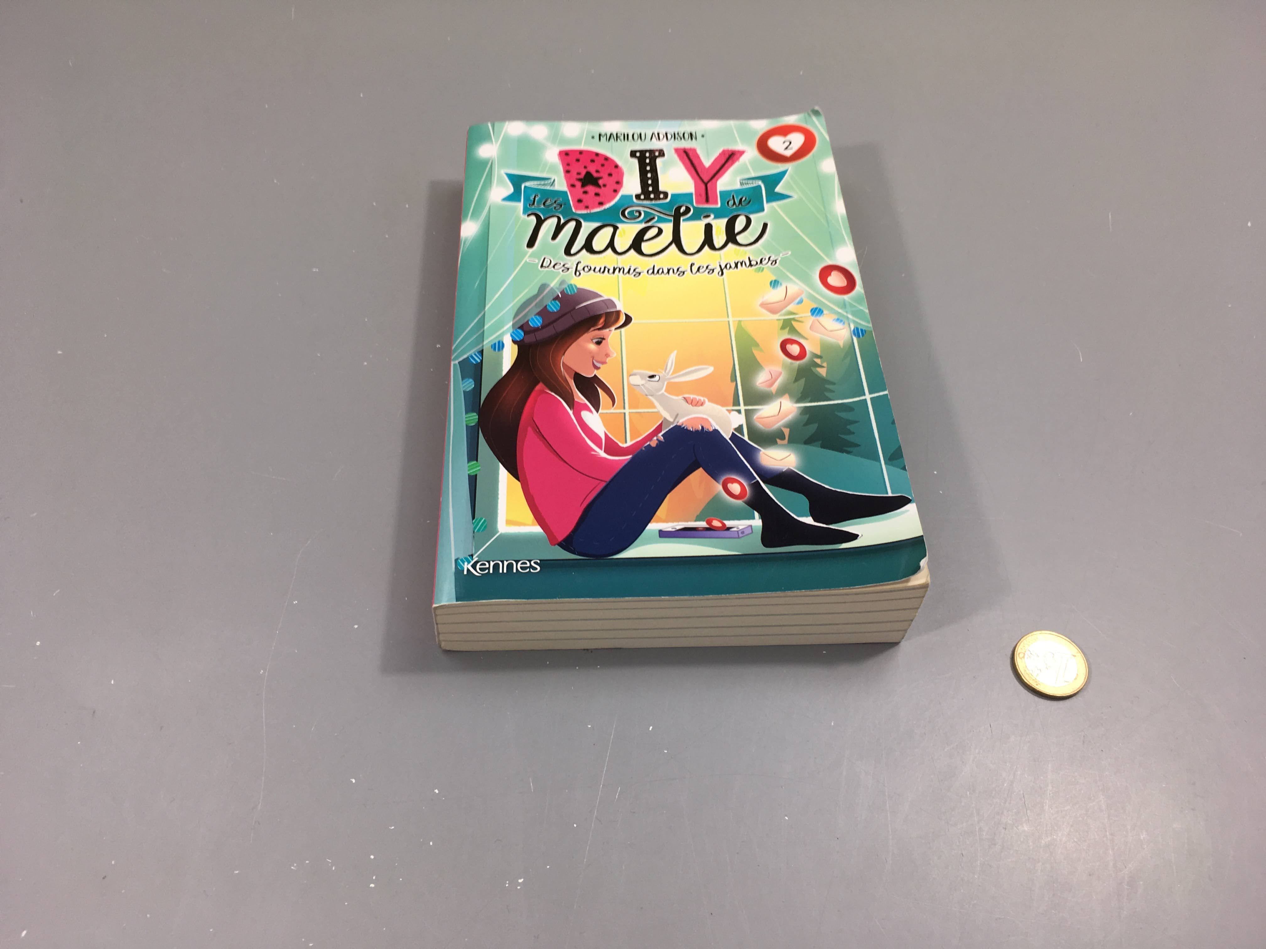 Les DIY de Maélie, des fourmis dans les jambes, 2