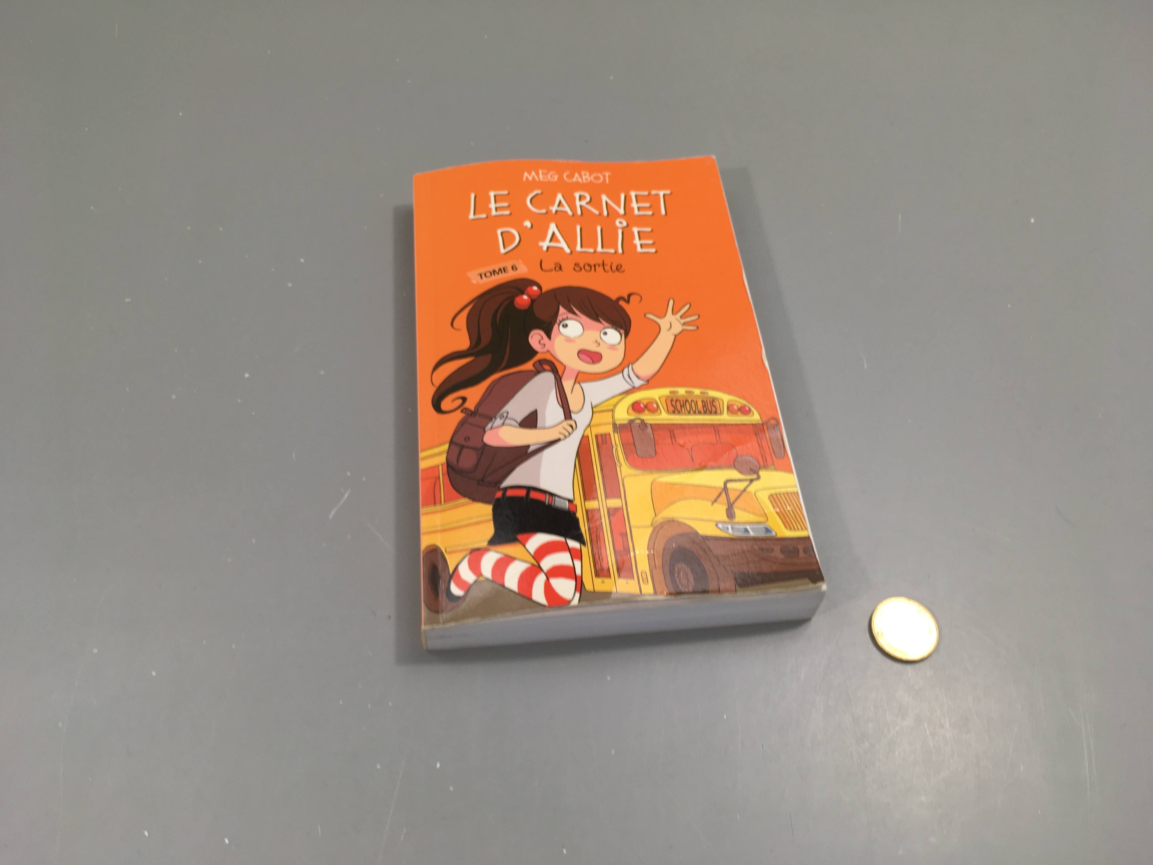 La sortie, Le carnet d'Allie, 6