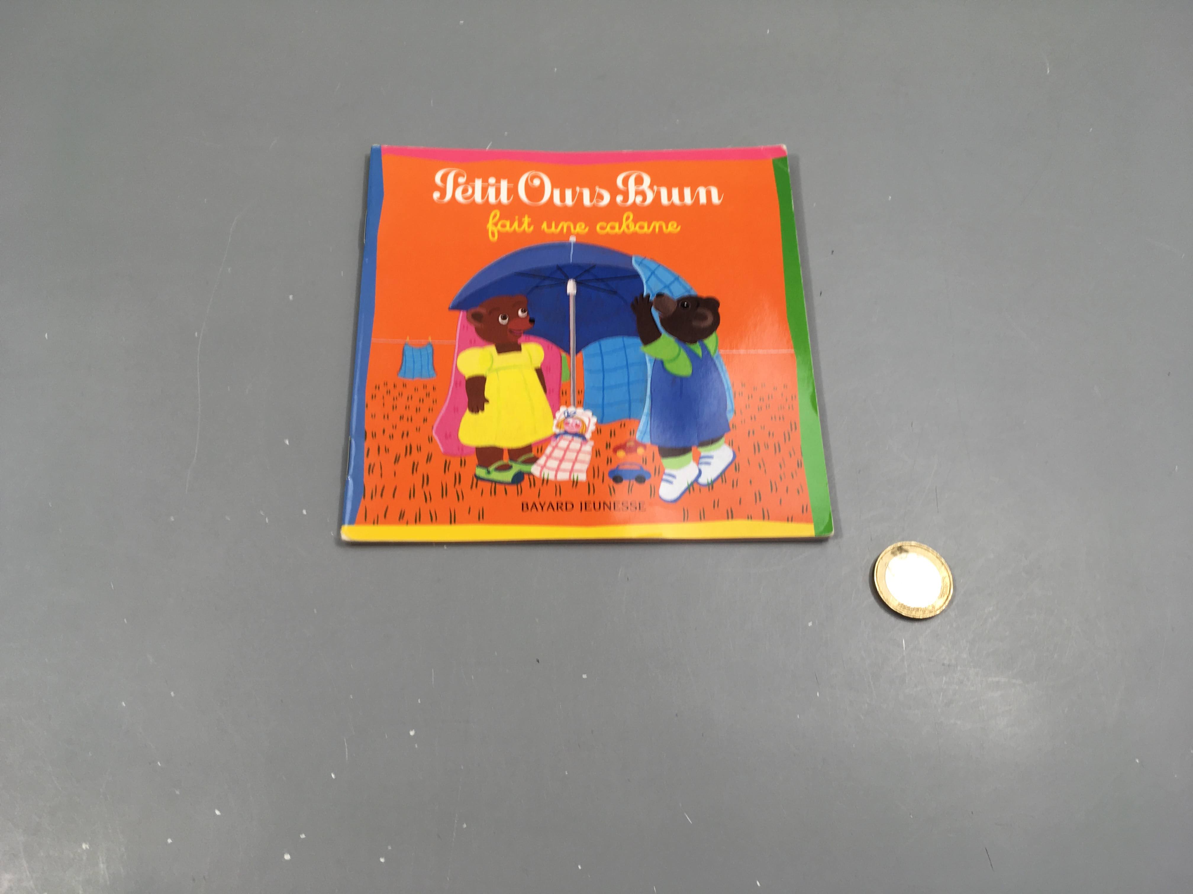 Petit ours brun  fait une cabane