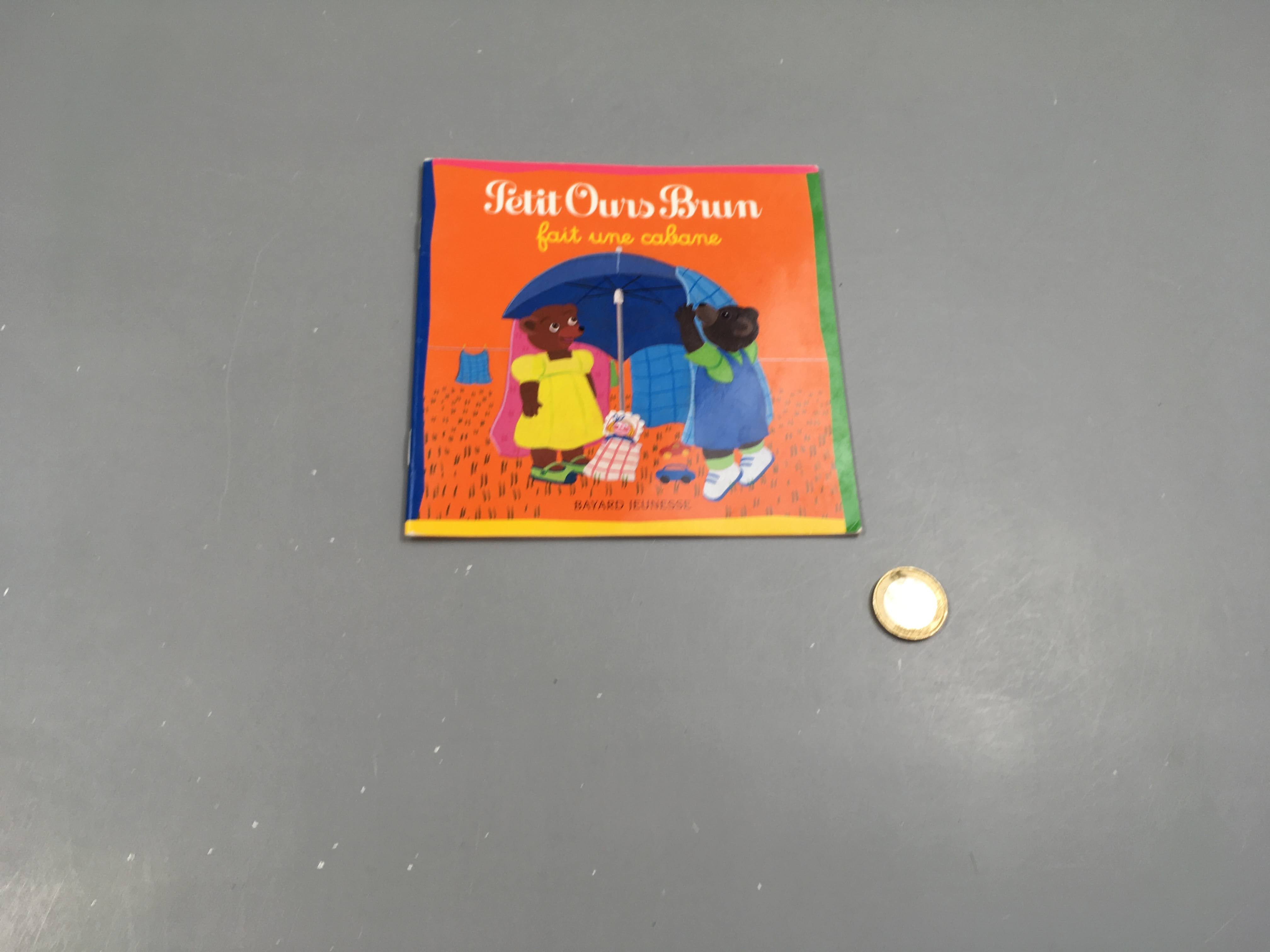 Petit ours brun fait une cabane