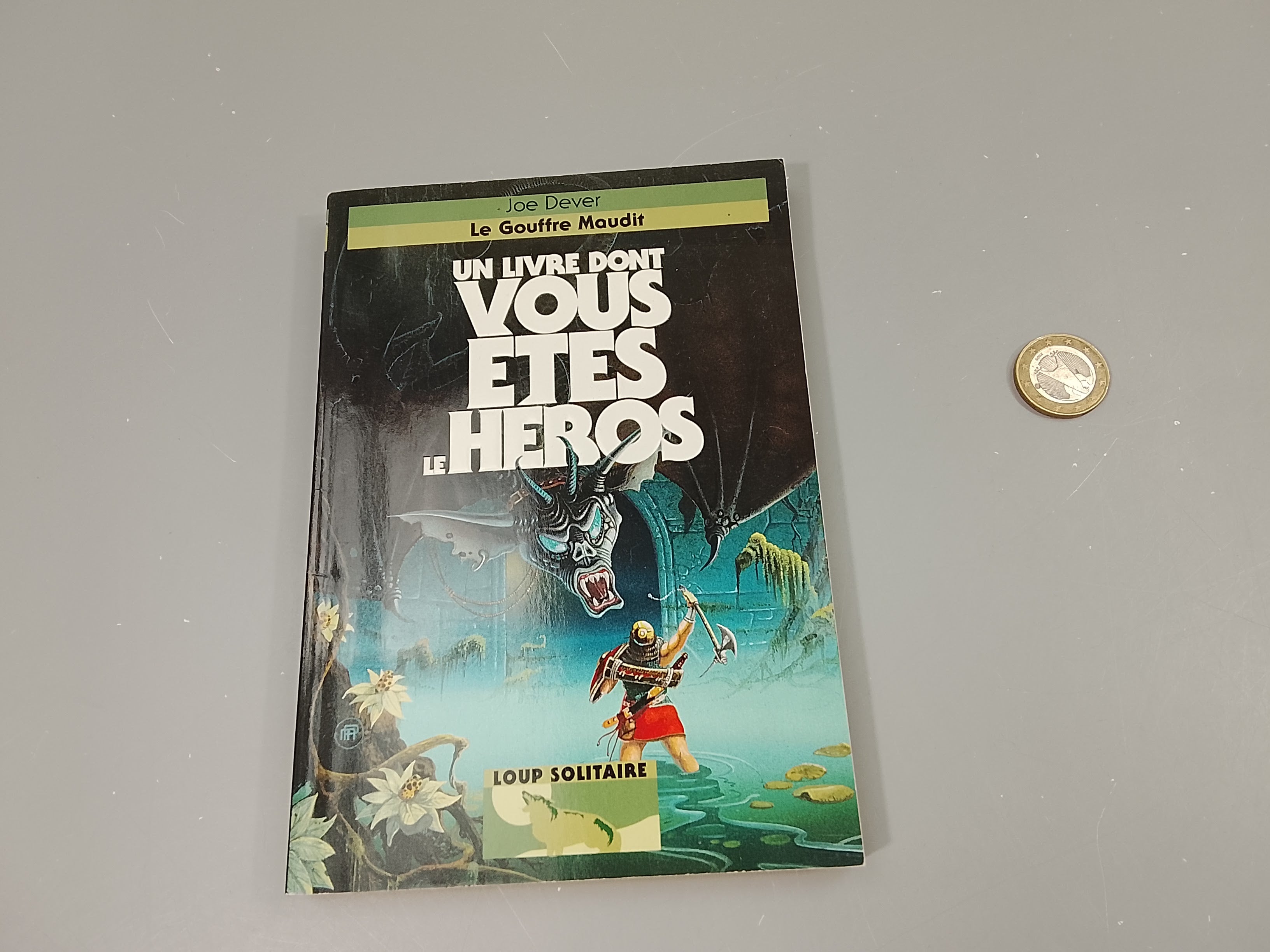 Un livre dont vous êtes le héros .