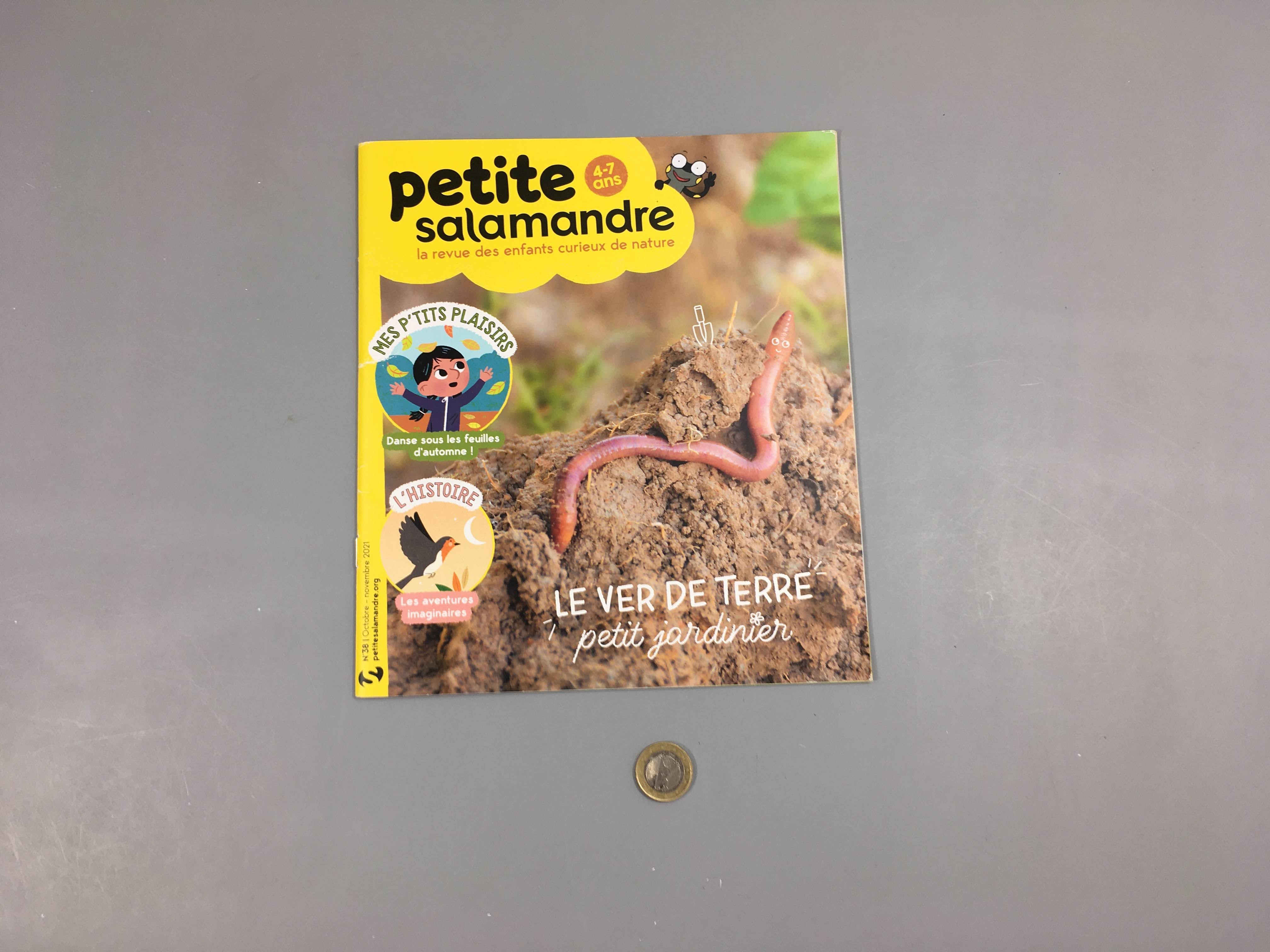 Petite salamandre-Le ver de terre