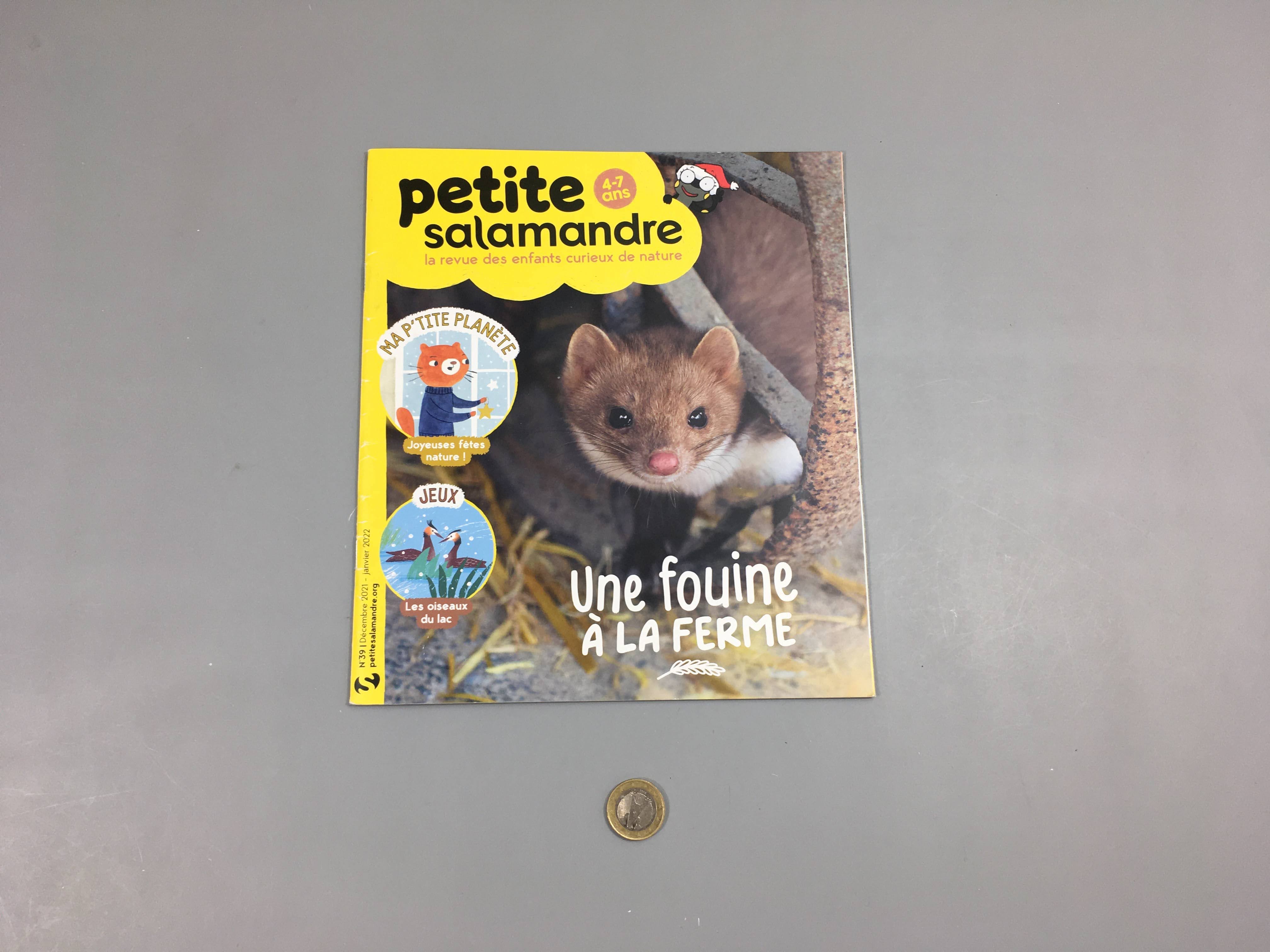 Petite salamandre-Une fouine à la ferme