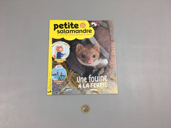 Petite salamandre-Une fouine à la ferme