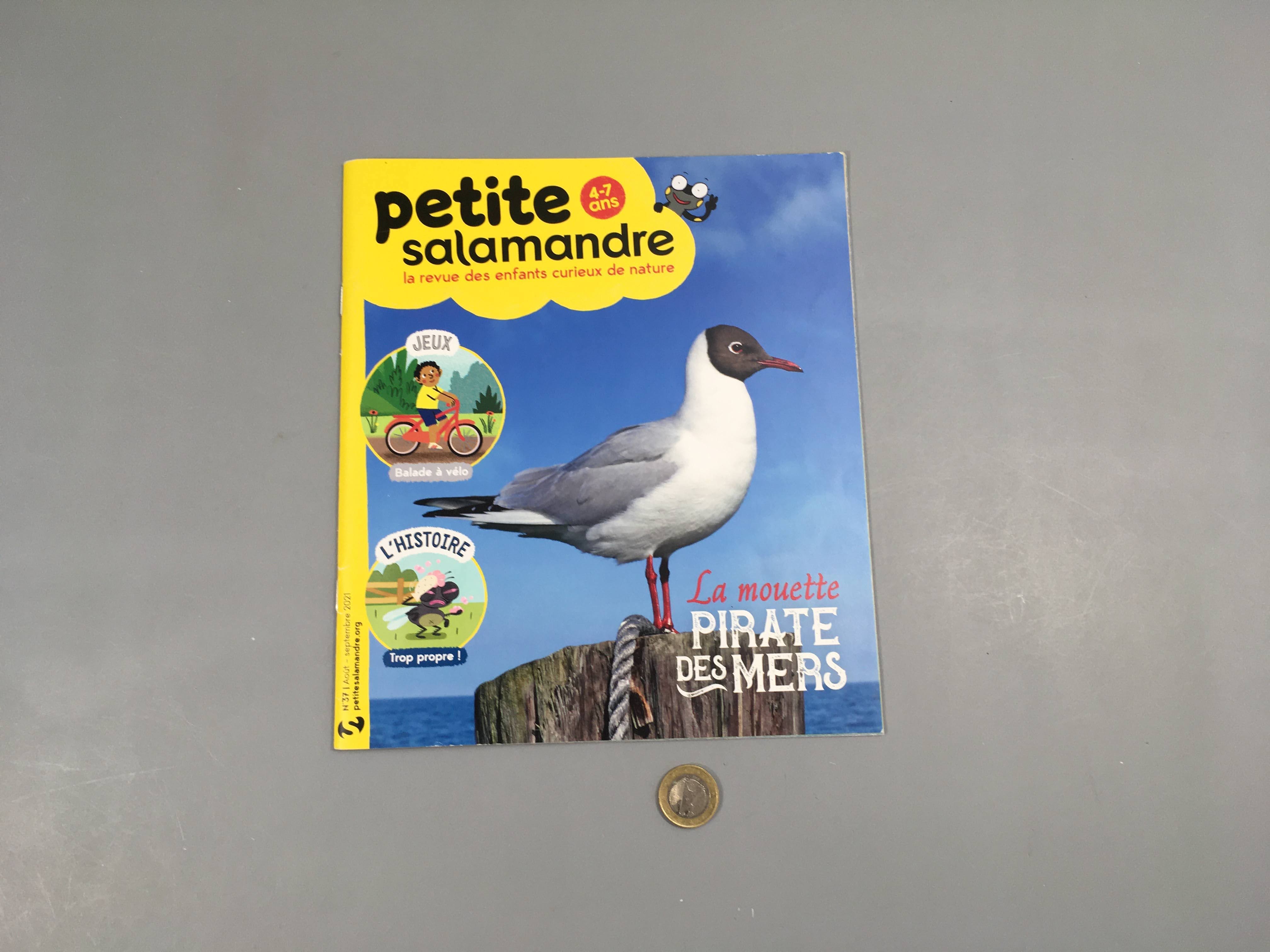 Petite salamandre-La mouette pirate des mers