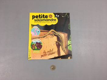 Petite salamandre-Au soleil petit lézard!