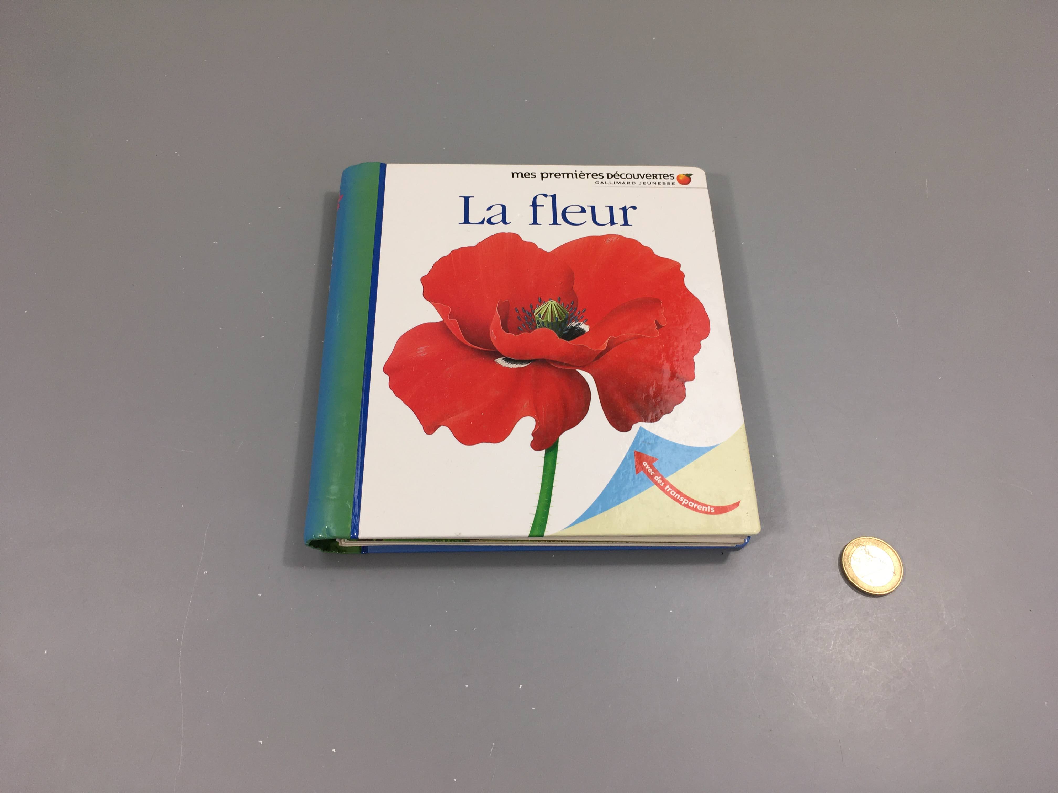 La fleur Mes premières découvertes