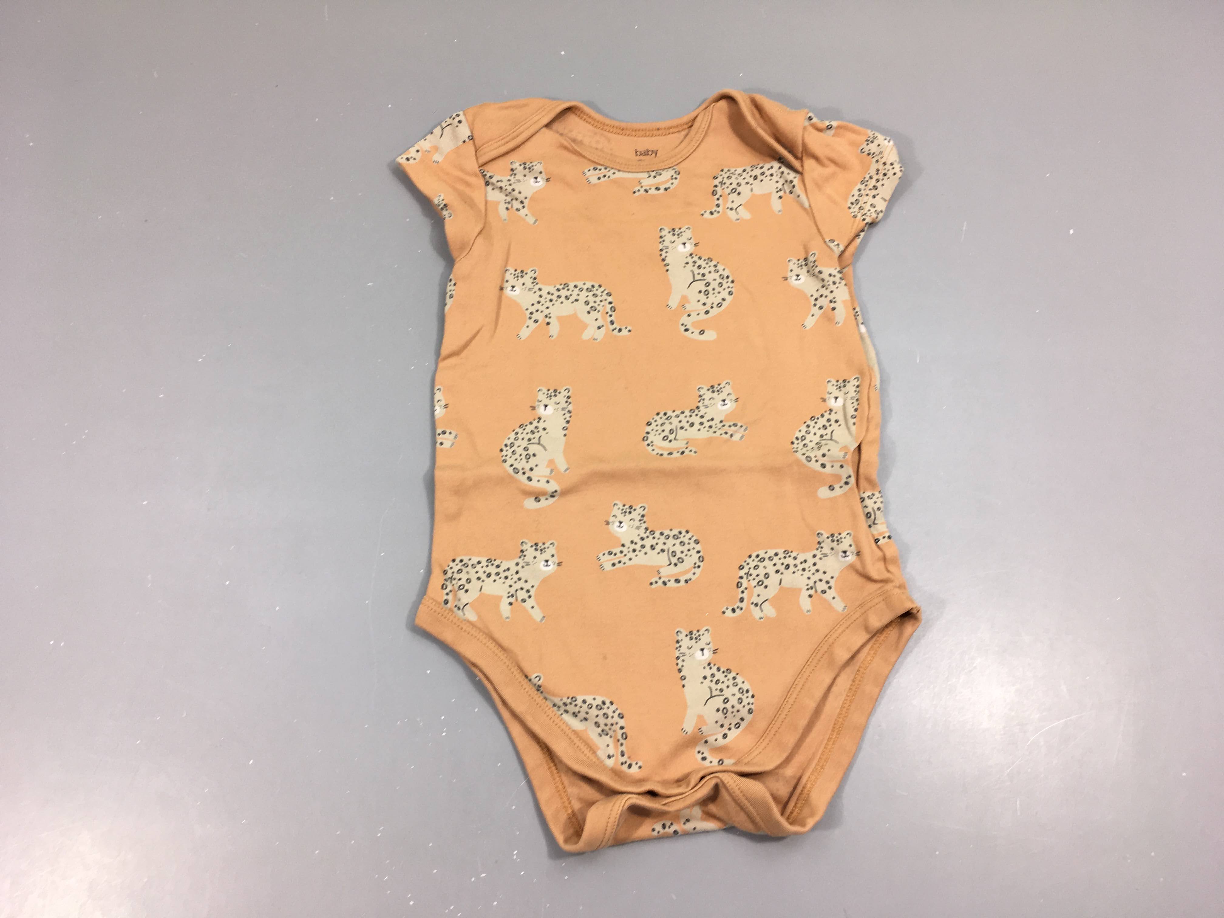 Body m.c orange félins