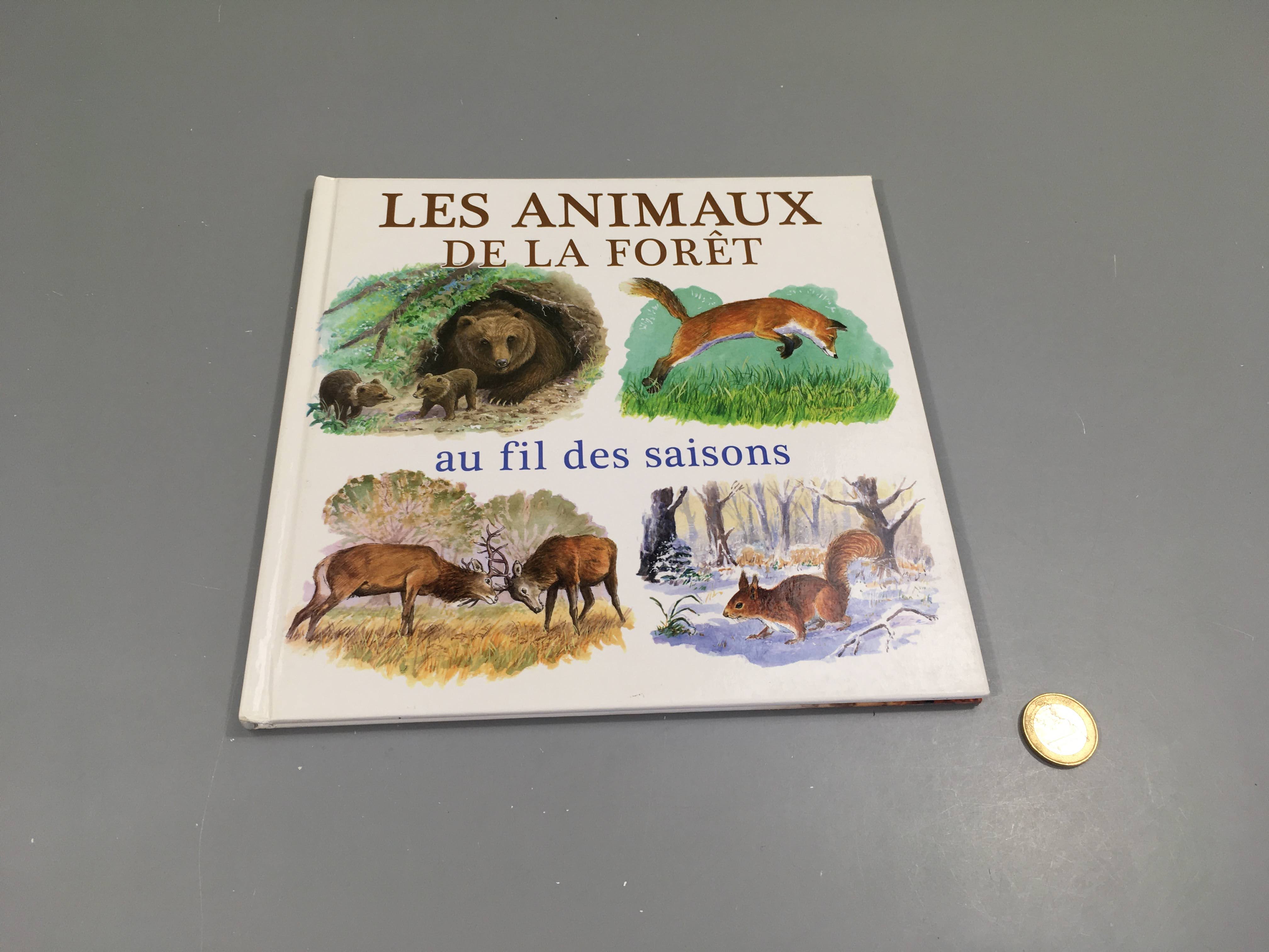 Les animaux de la forêt au fil des saisons