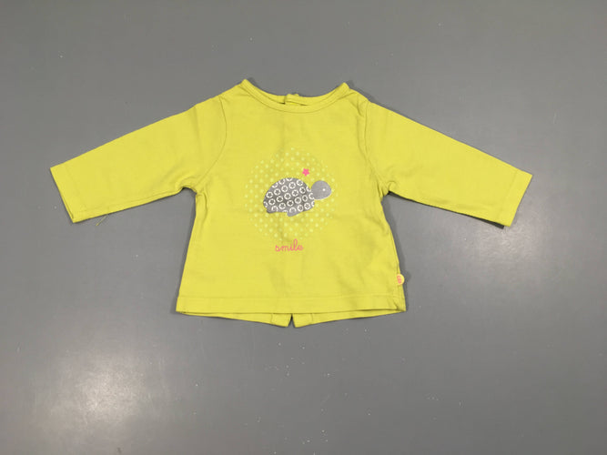 T-shirt m.l vert anis tortue, moins cher chez Petit Kiwi
