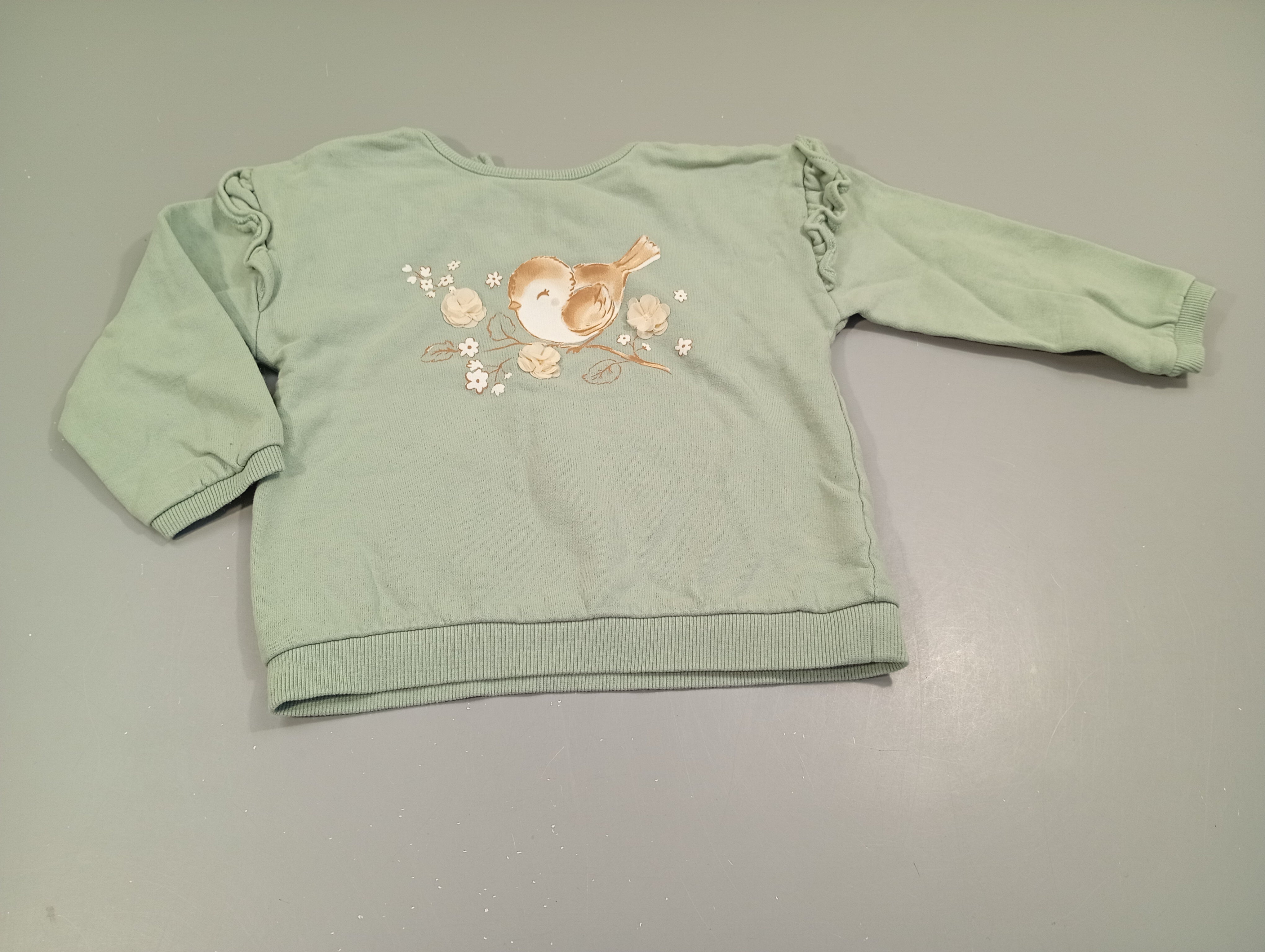 Sweat vert clair, oiseau , intérieur polar