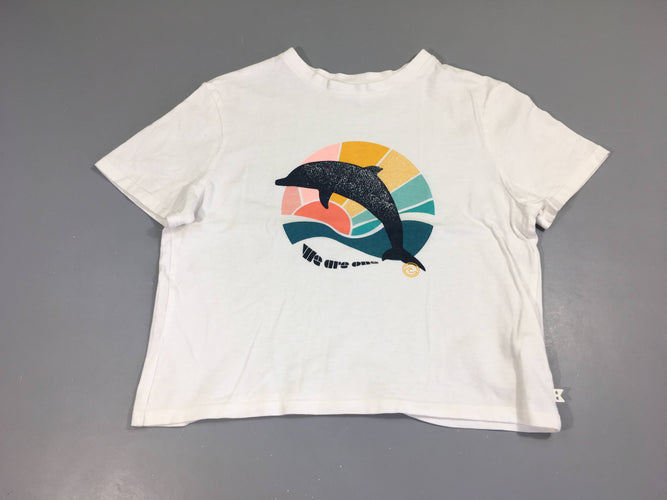 T-shirt m.c court blanc dauphin, moins cher chez Petit Kiwi