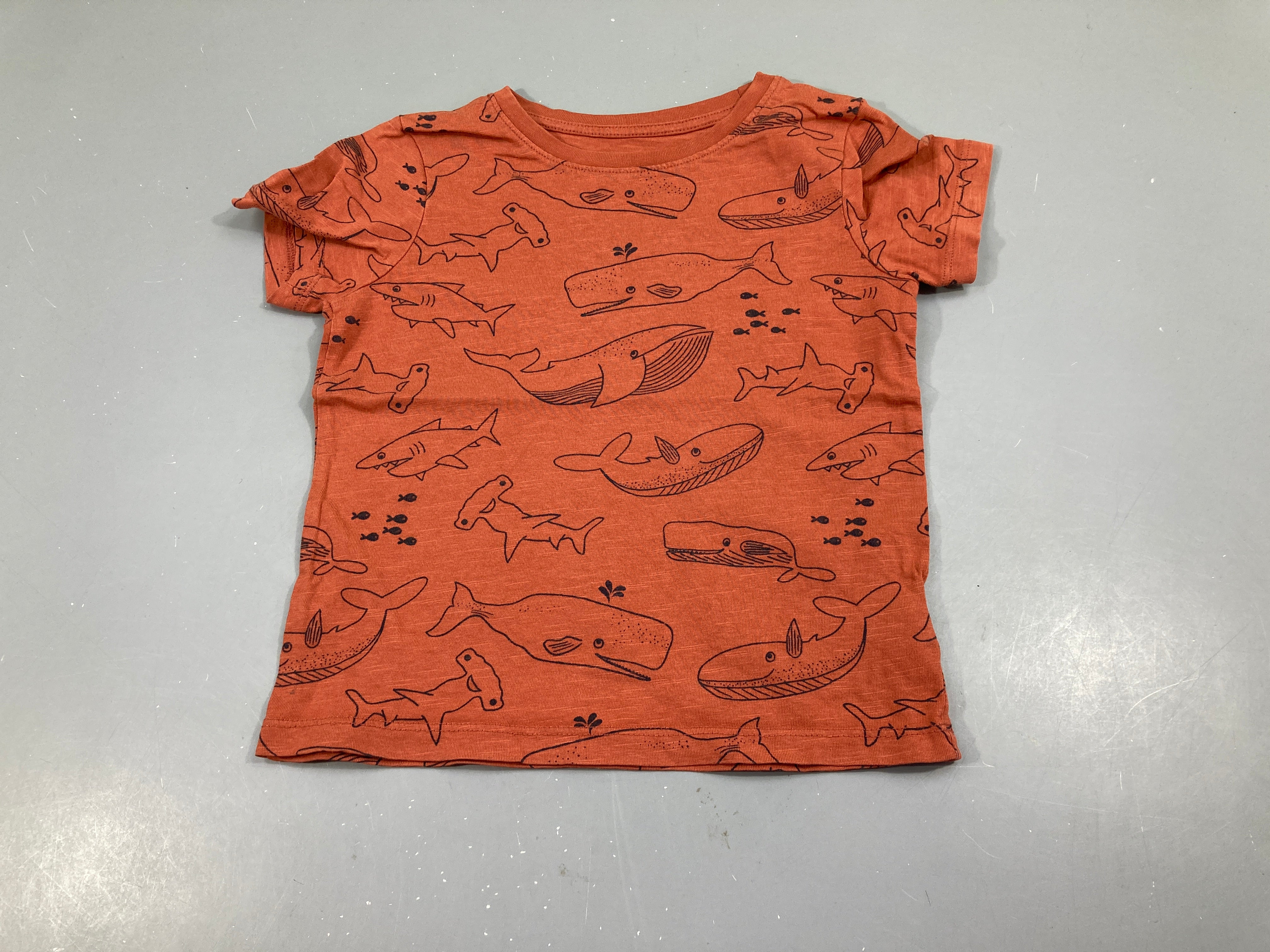 T-shirt m.c terra cotta animaux marins