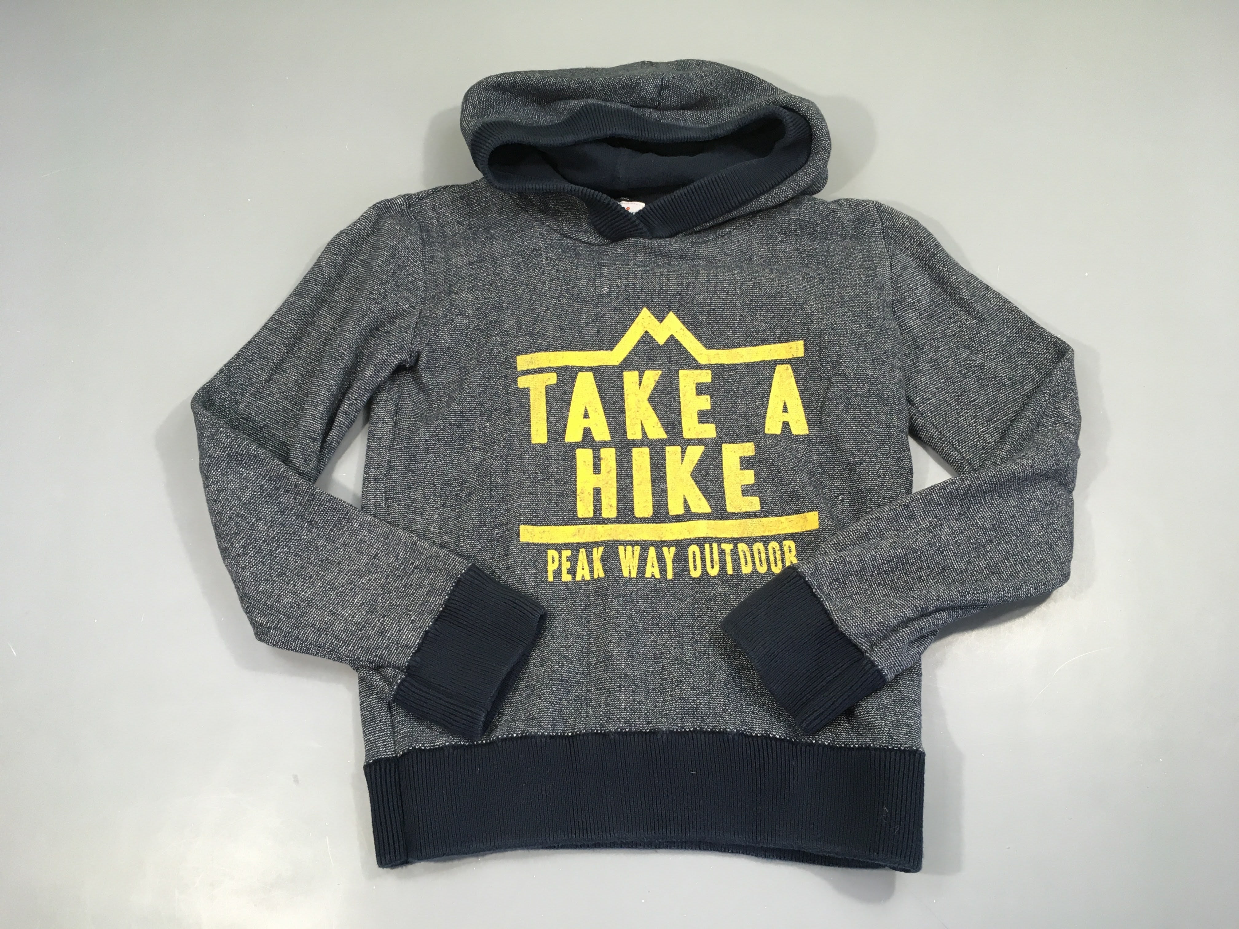 Sweat à capuche gris Take a Hike