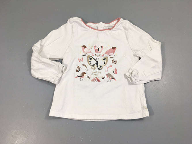 T-shirt m.l blanc oiseaux papillons, moins cher chez Petit Kiwi