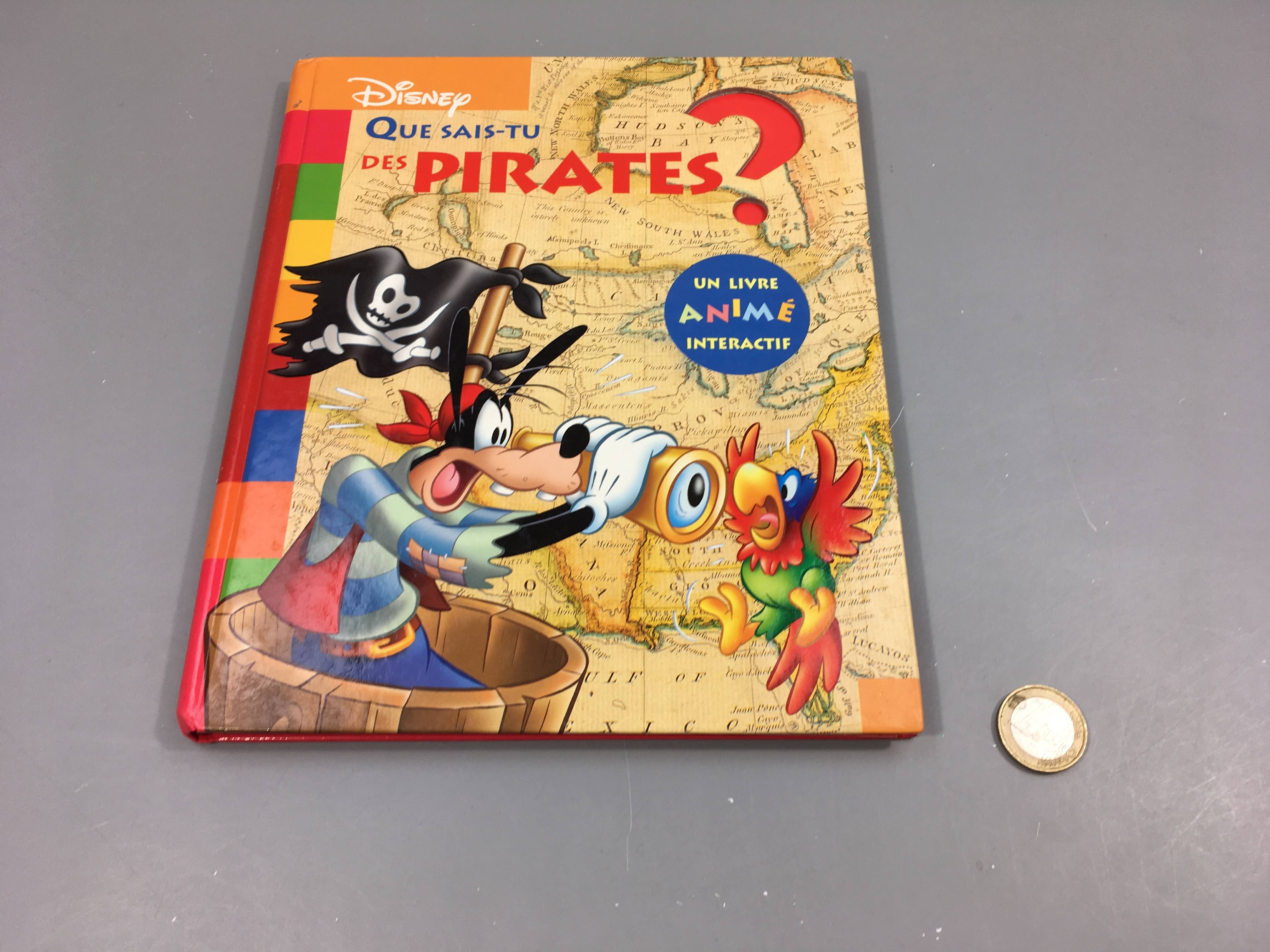 Que sais-tu des Pirates