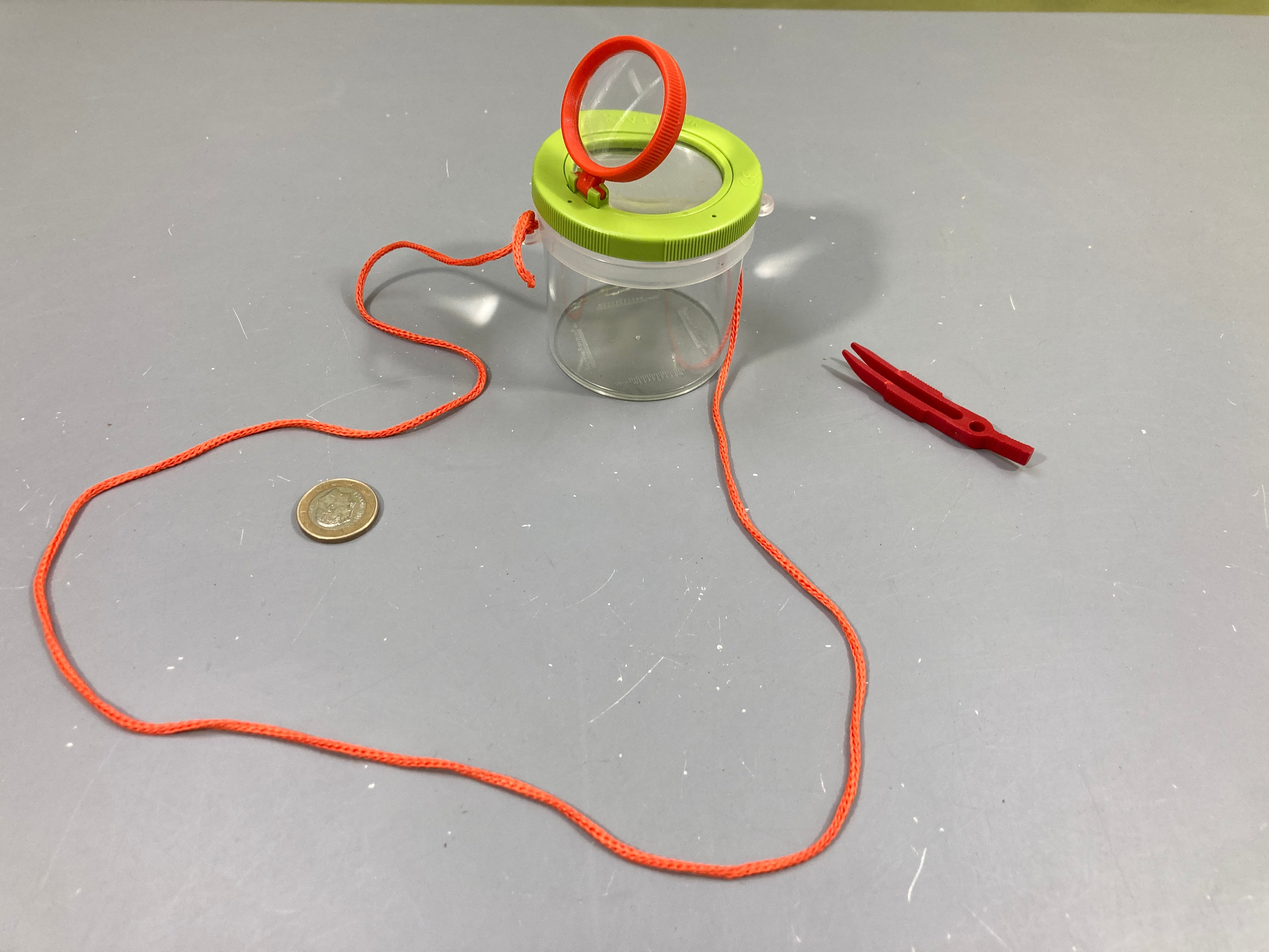 Pot transparant avec double loupe pour observer les insectes