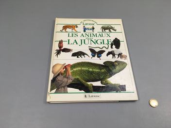 Les animaux dans la jungle