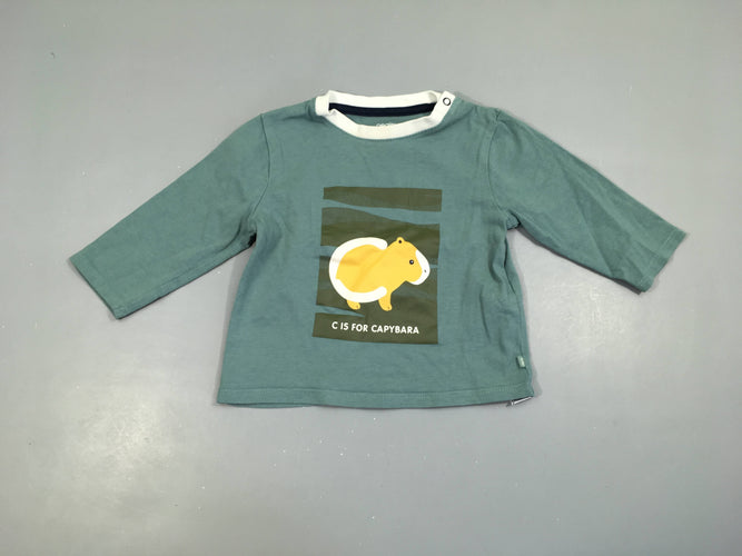 T-shirt m.l bleu cochon d'inde, moins cher chez Petit Kiwi
