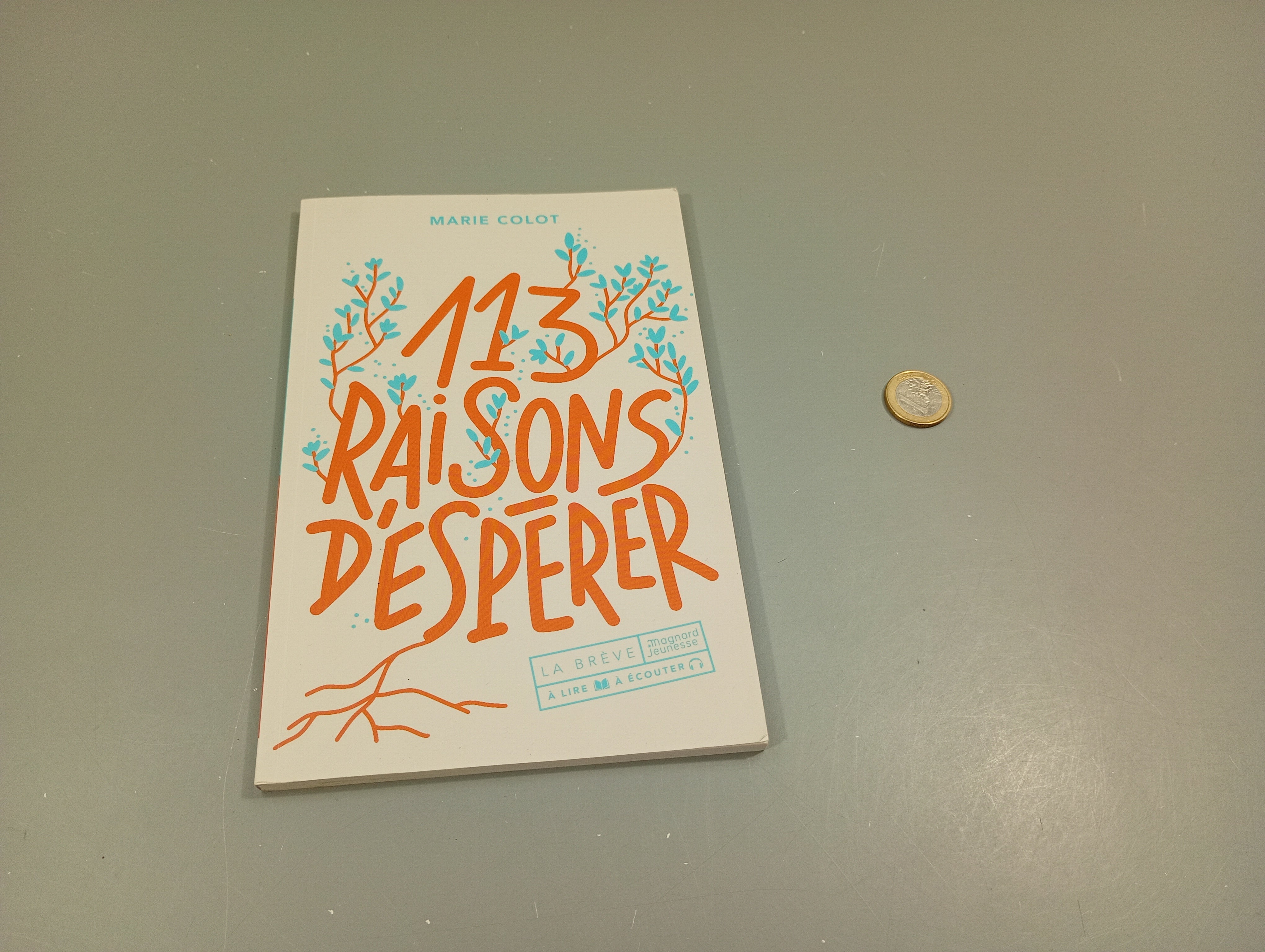 113 raisons déspérer.