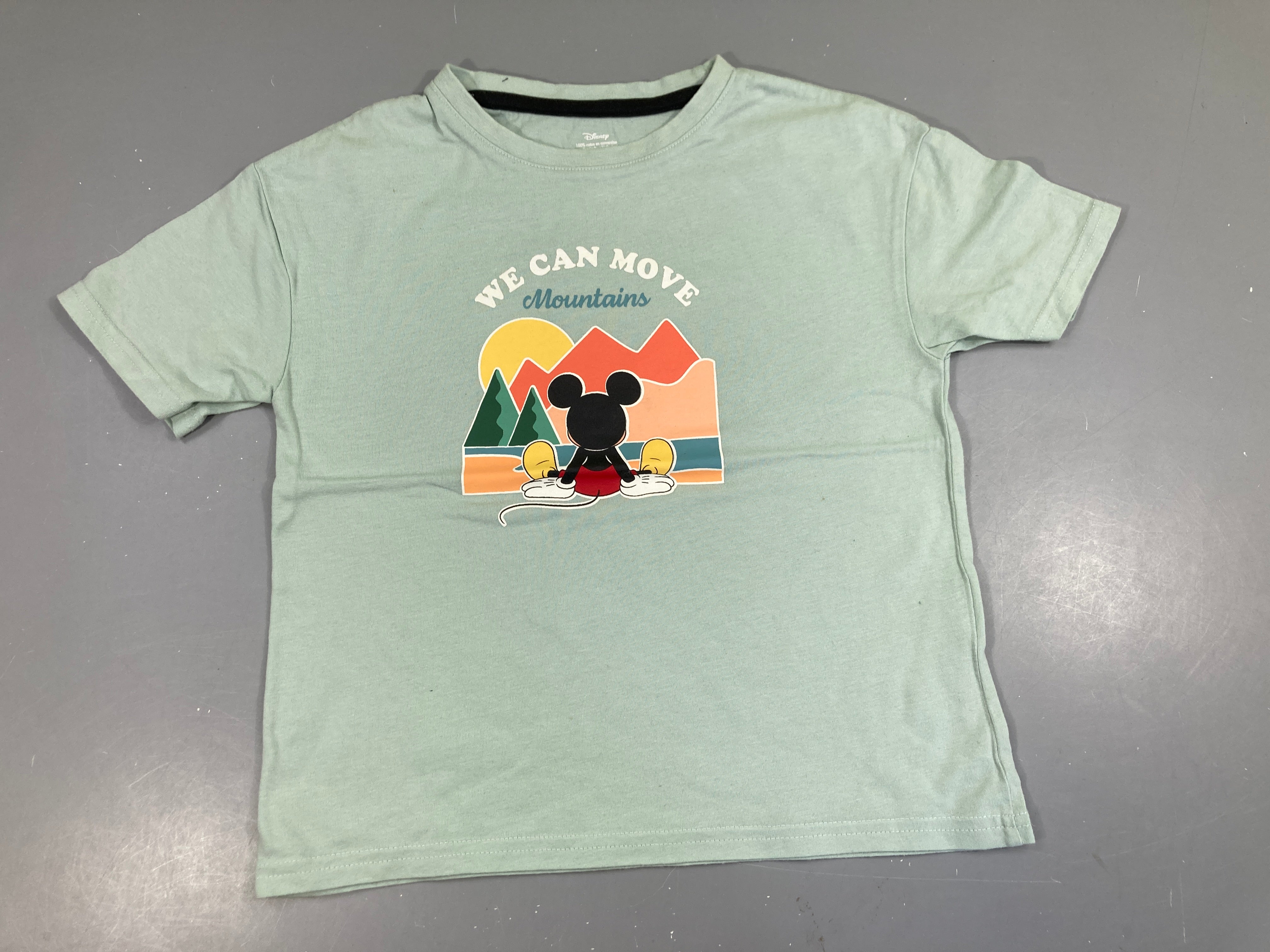 T-shirt m.c vert d'eau Mickey Mountains