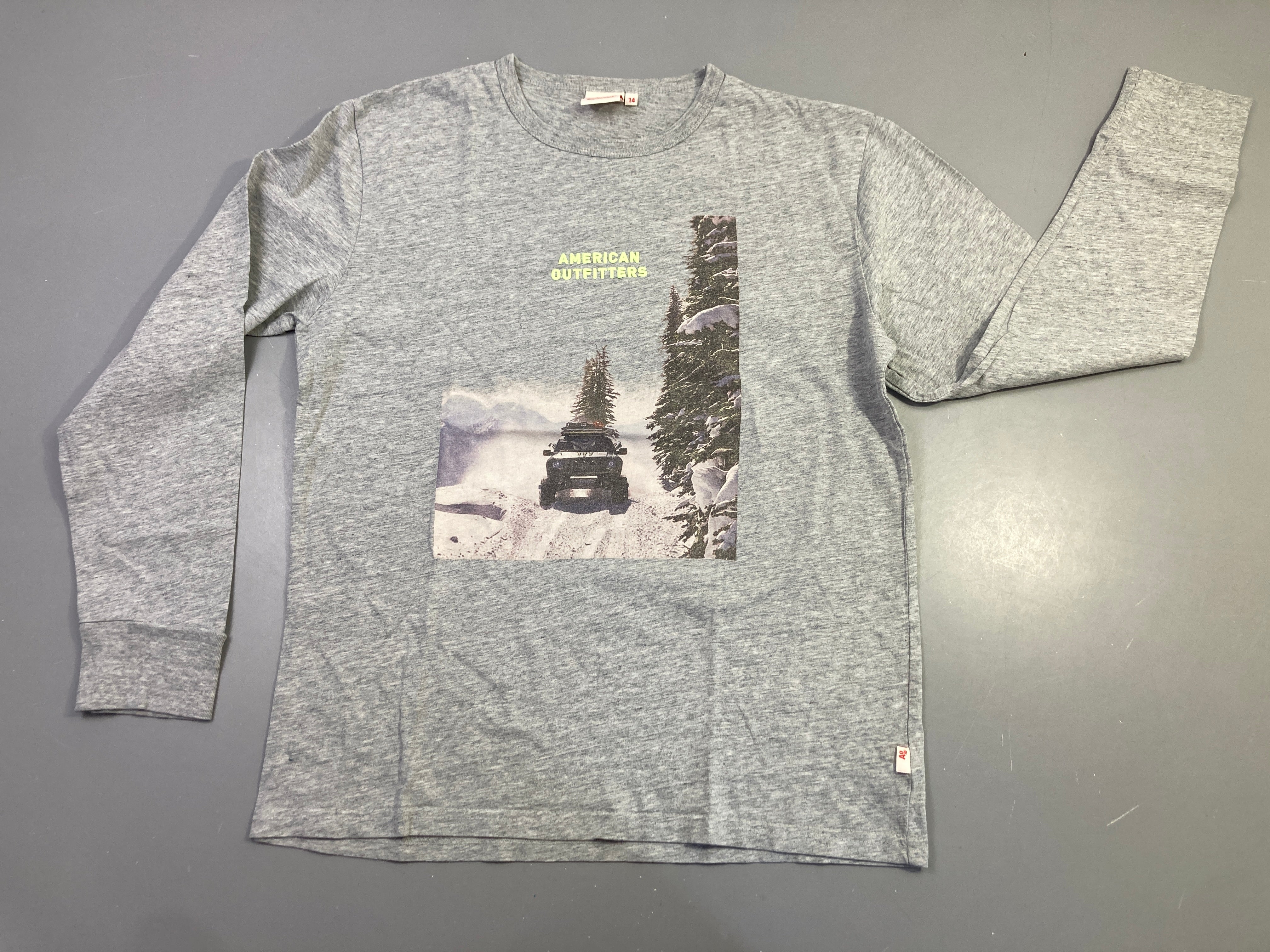 T-shirt m.l gris imprimé voiture American Outfitters