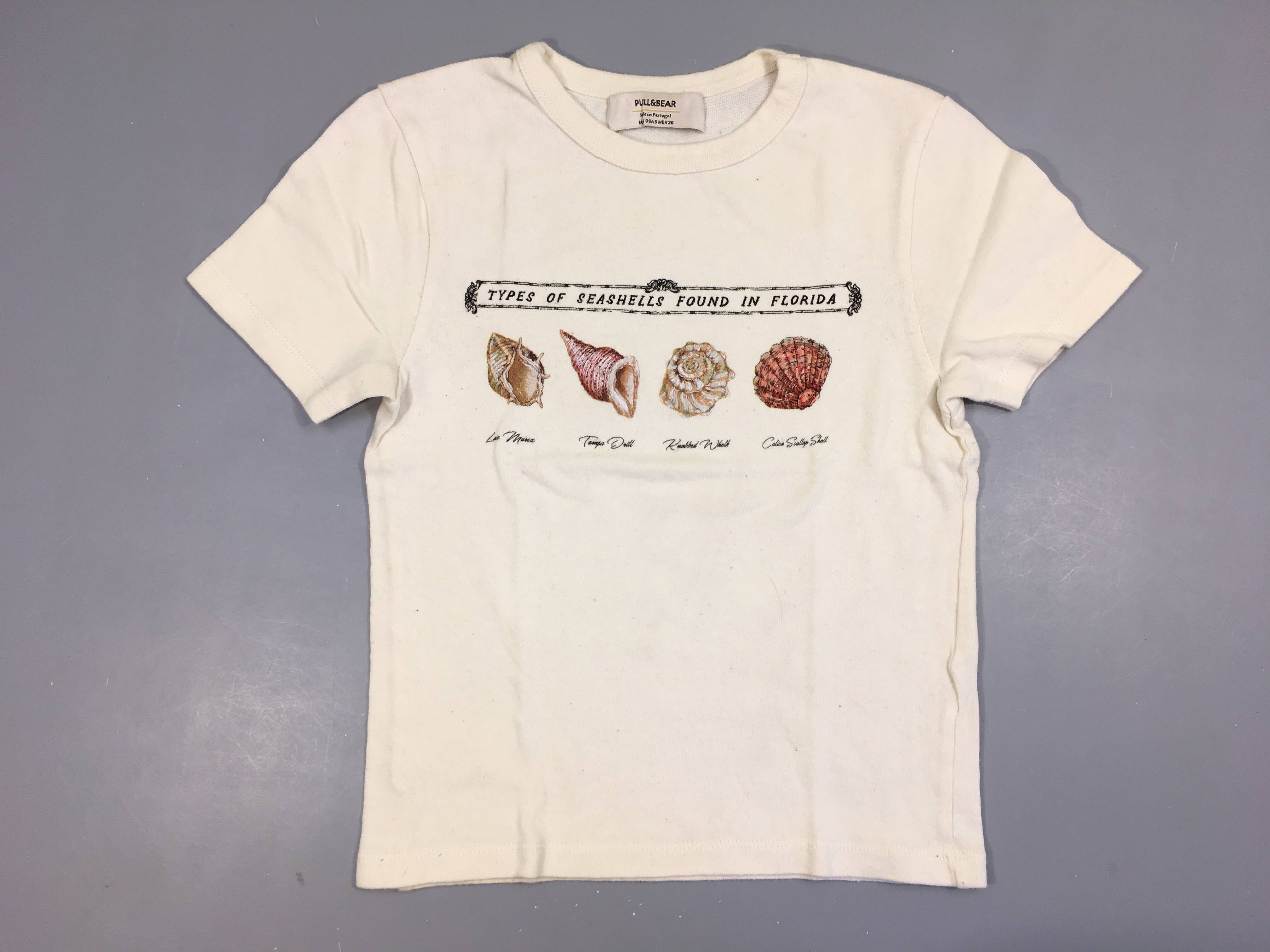 T-shirt m.c beige coquillages