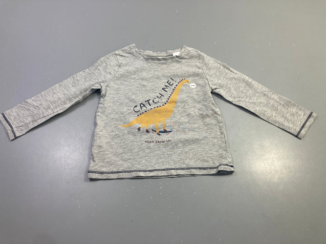 T-shirt m.l gris chiné dinosaure skateboard, moins cher chez Petit Kiwi