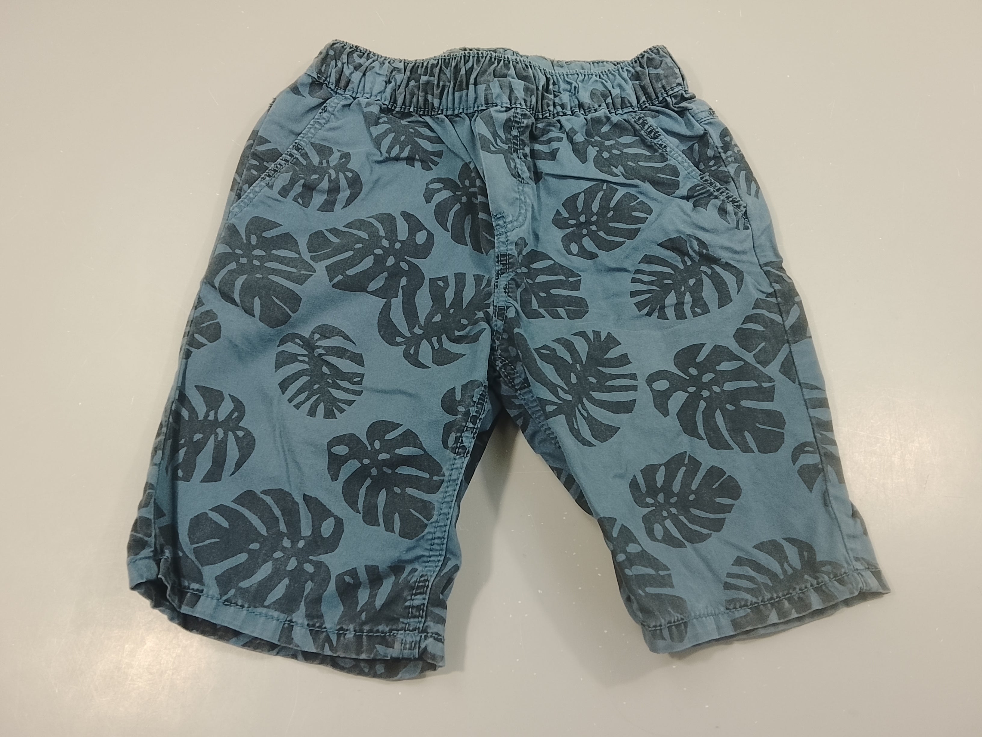 Bermuda bleu, feuillage bleu marine
