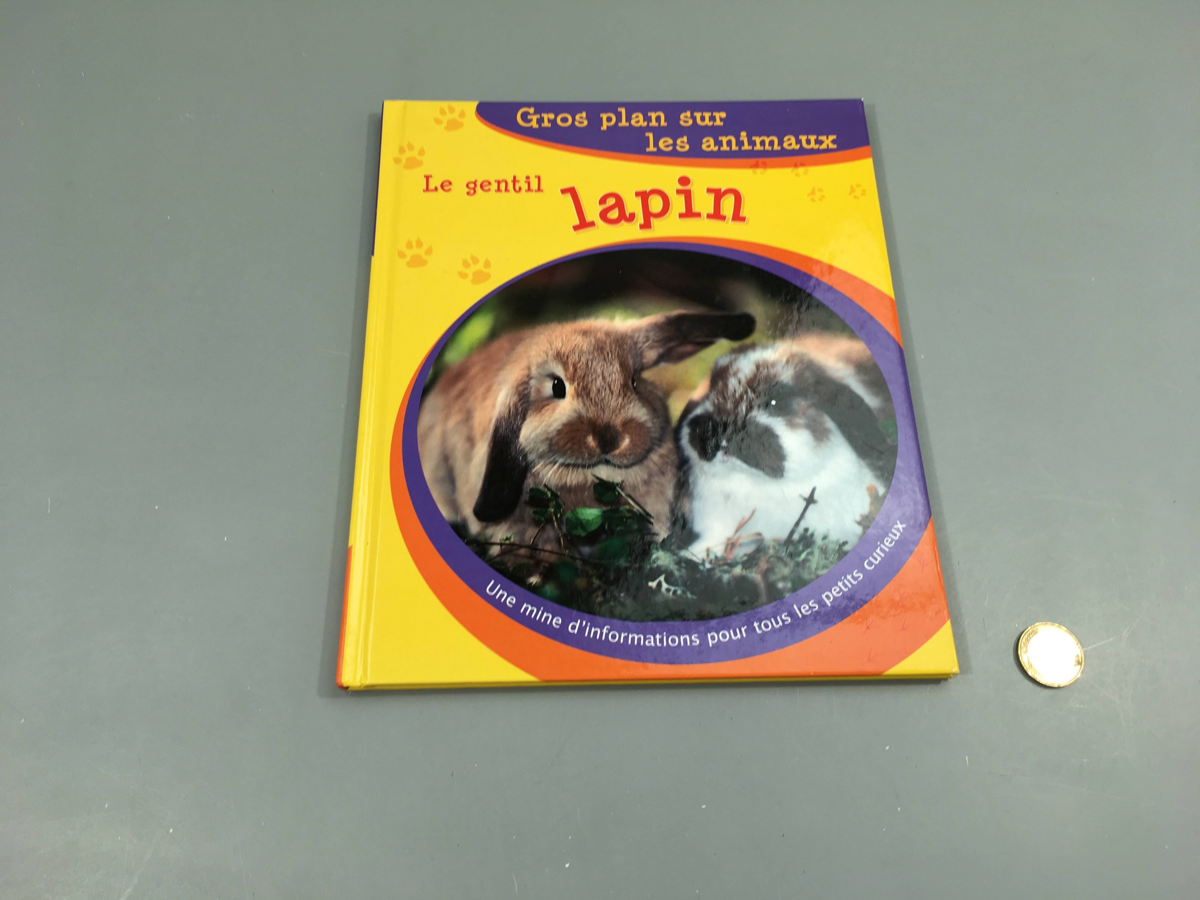 Le gentil lapin-Gros plan sur les animaux