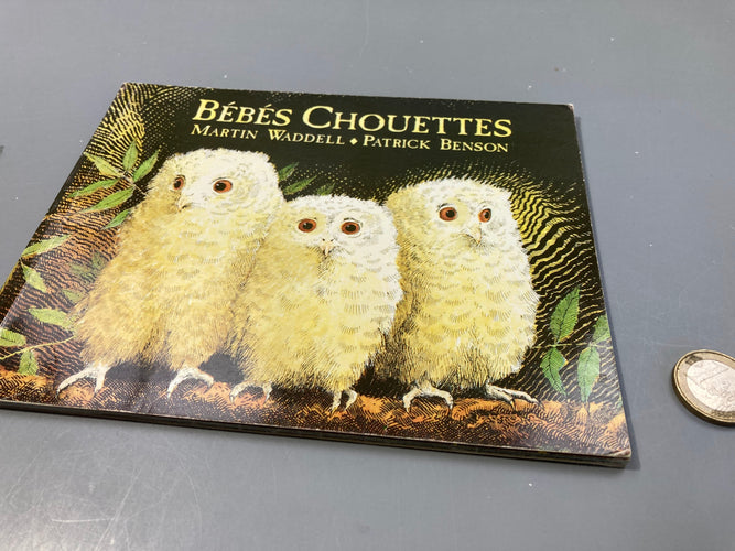 Bébés chouettes, moins cher chez Petit Kiwi