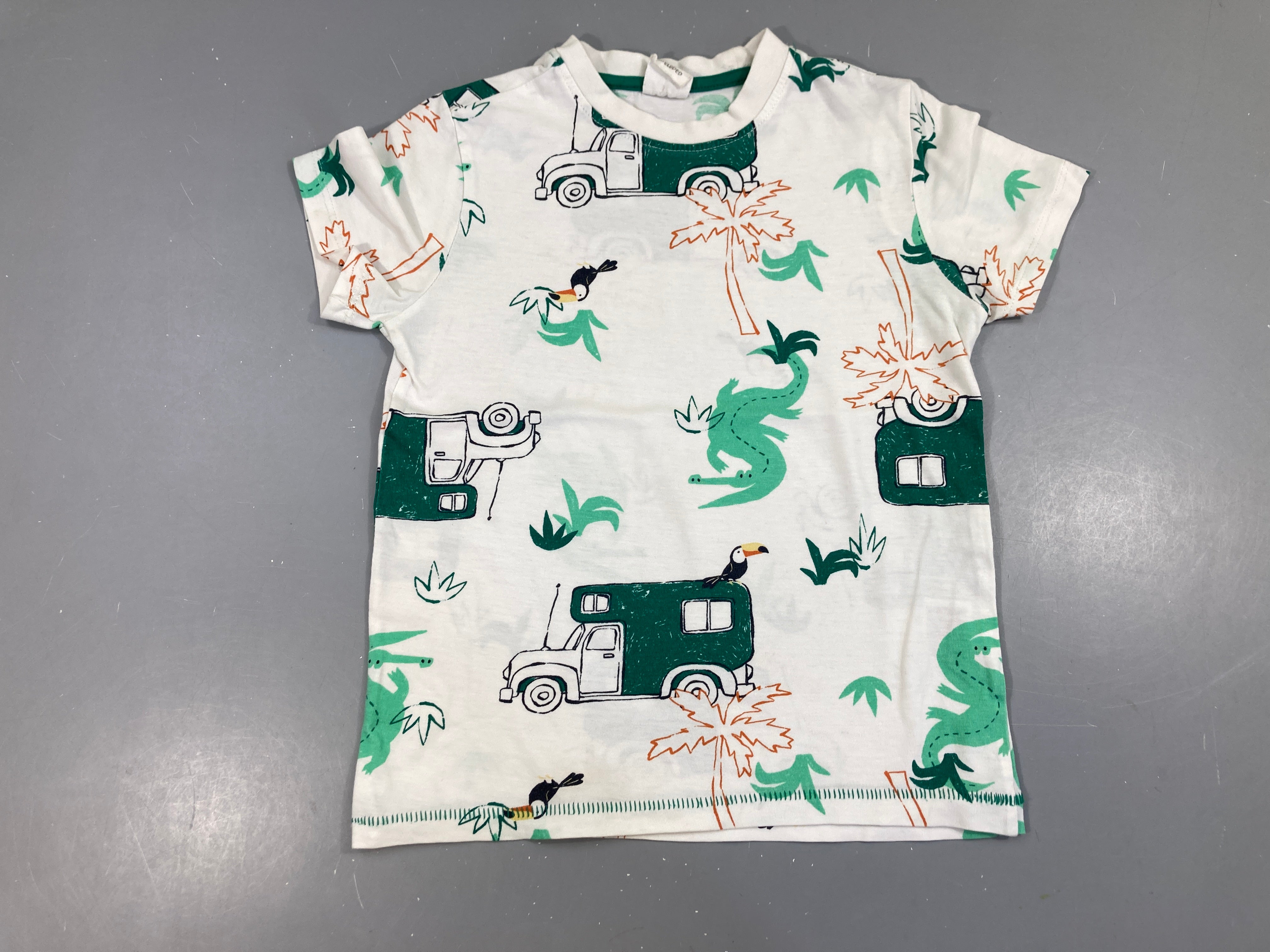 T-shirt m.c camions pélicans