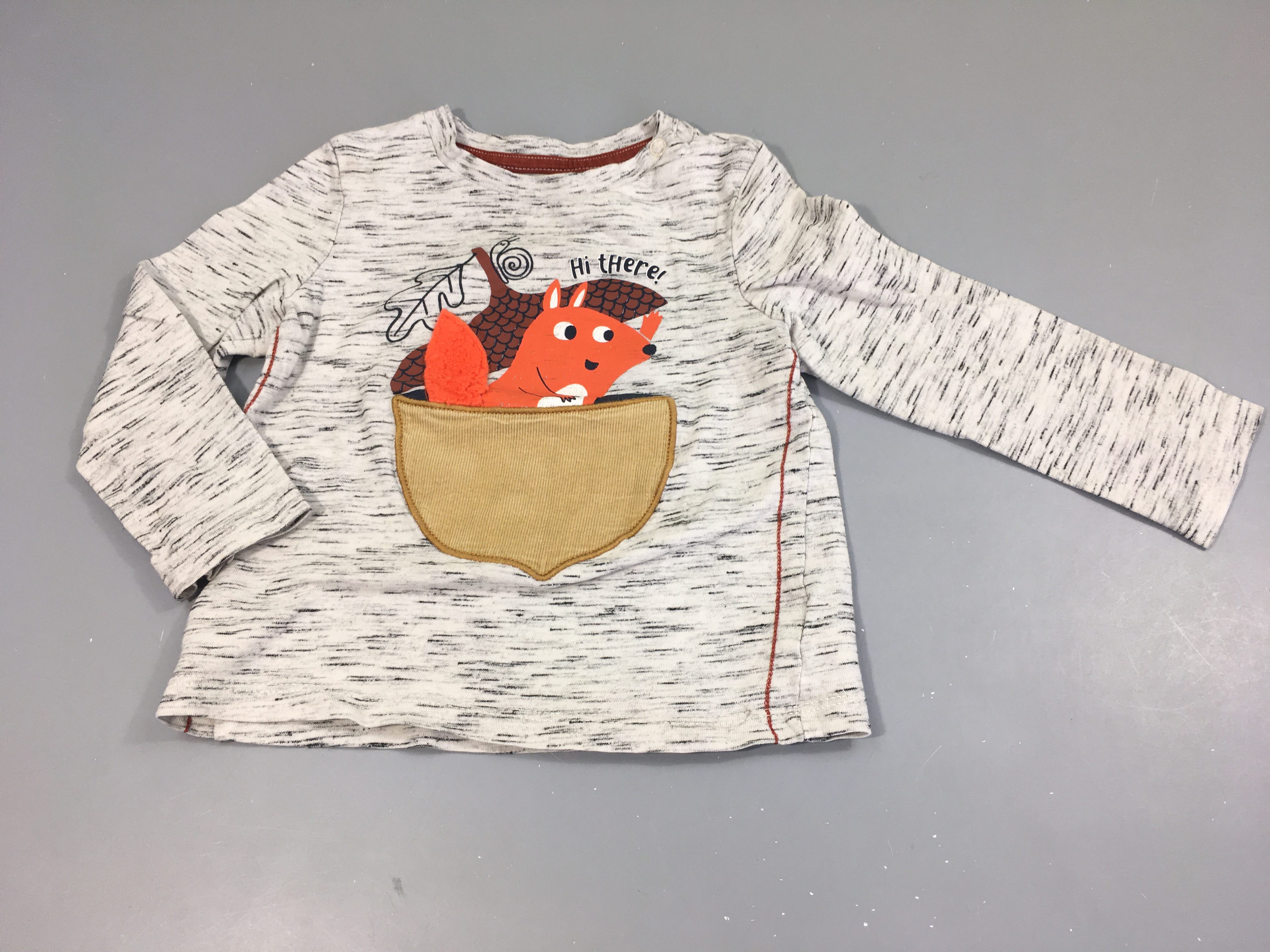 T-shirt m.l gris flammé écureuil, flocage craquelé relief