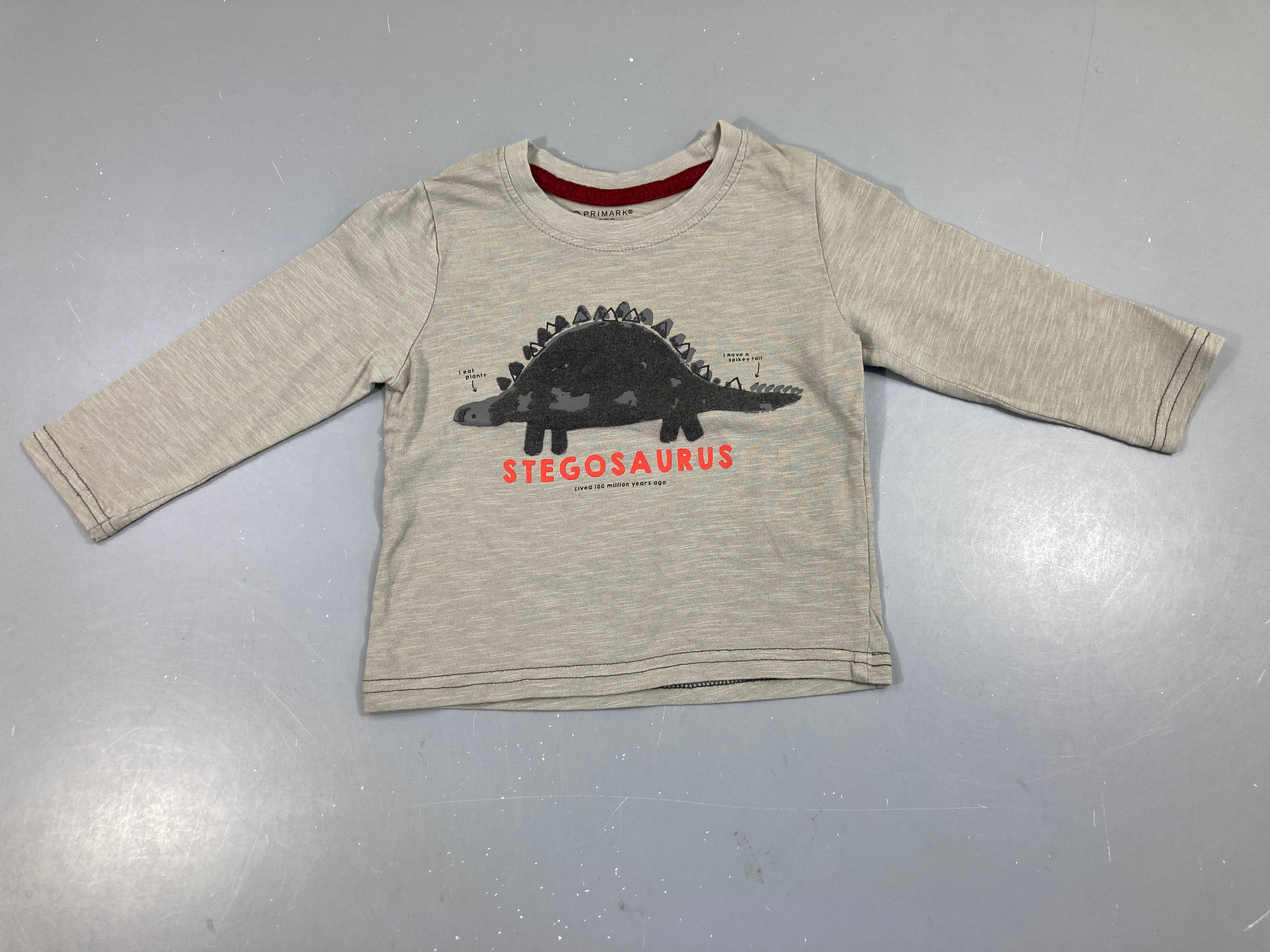 T-shirt m.l taupe flammé Dino